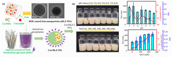 Zein-Based Nanocarriers: Advances in Oral Drug Delivery