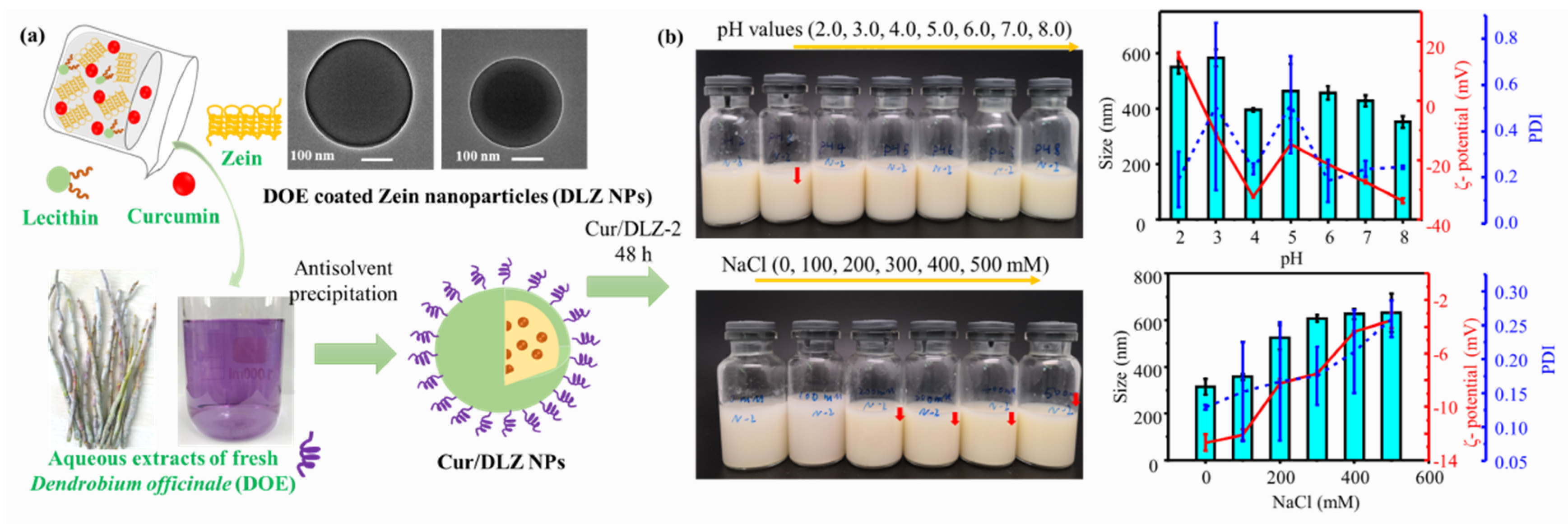 Pharmaceutics 17 00944 g005