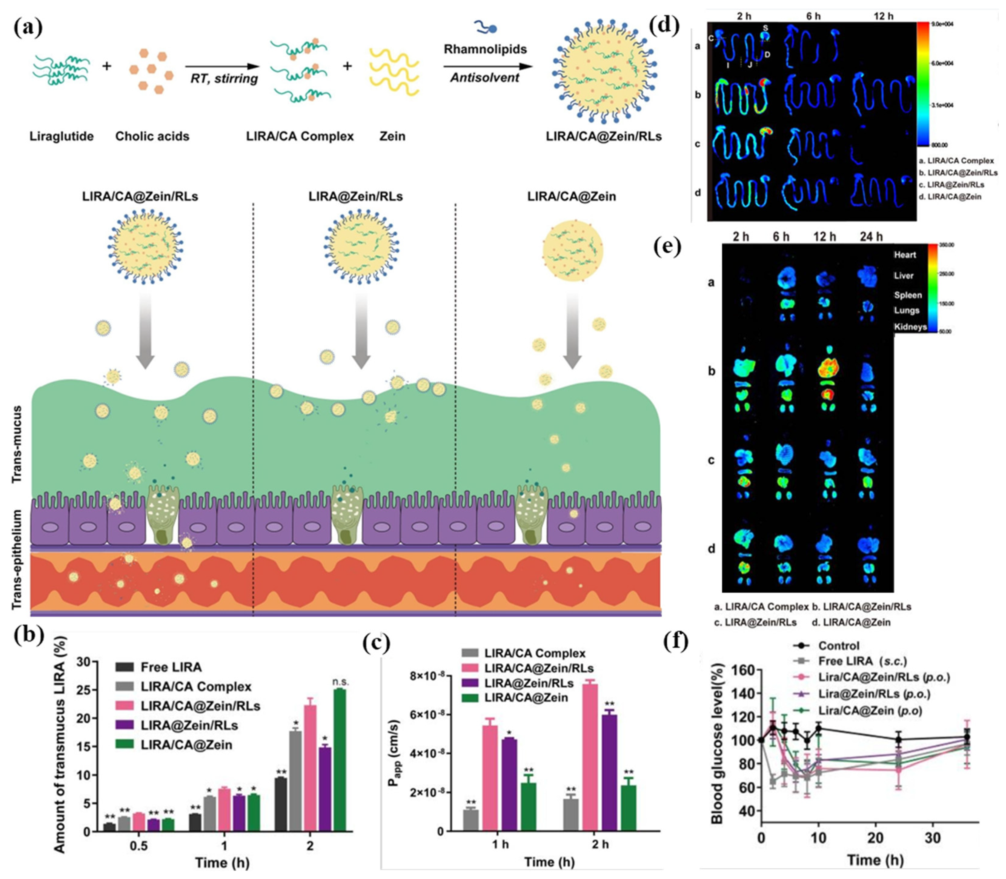 Pharmaceutics 17 00944 g009