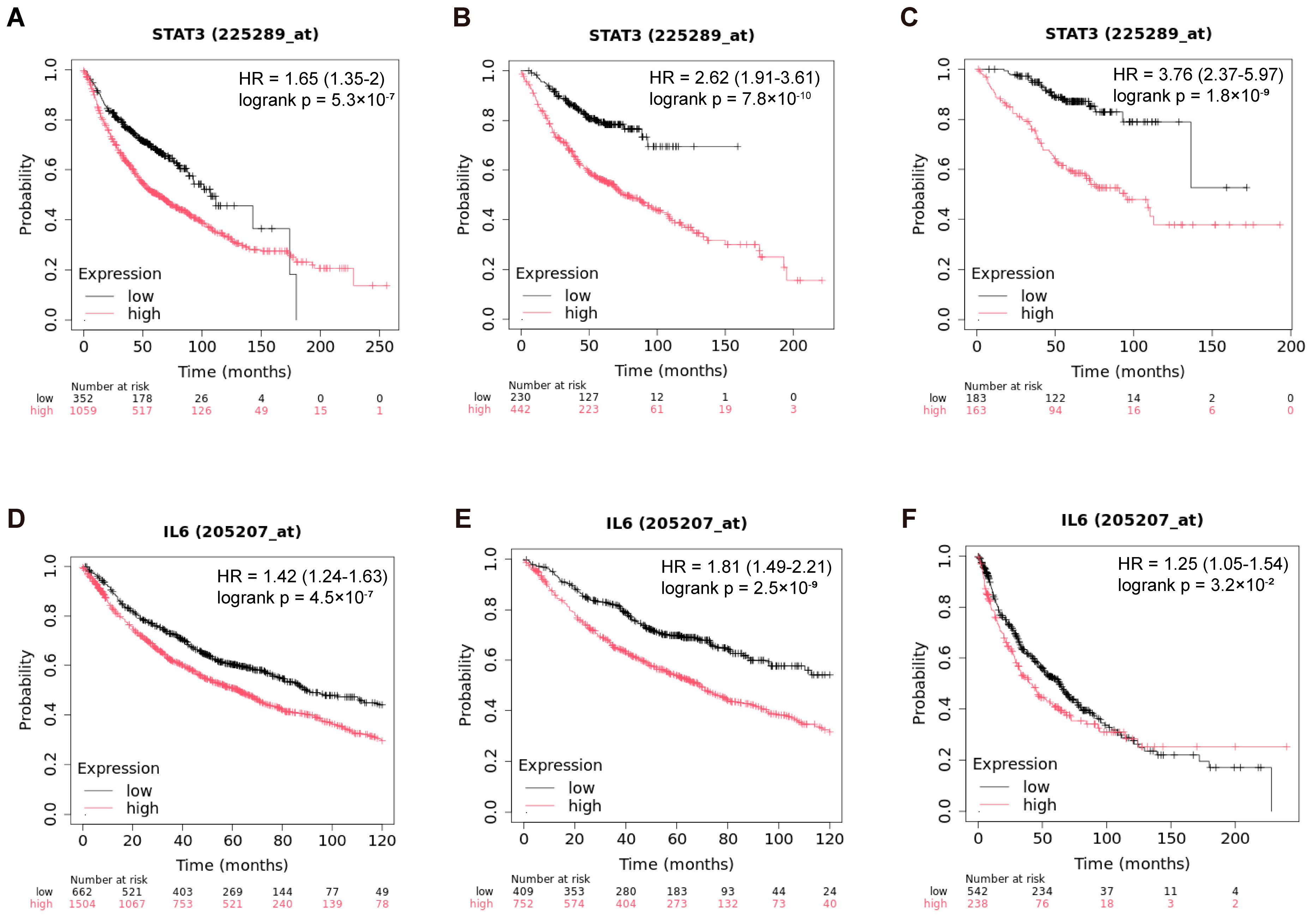 Pharmaceutics 17 00945 g001 Pharmaceutics 17 00945 g001