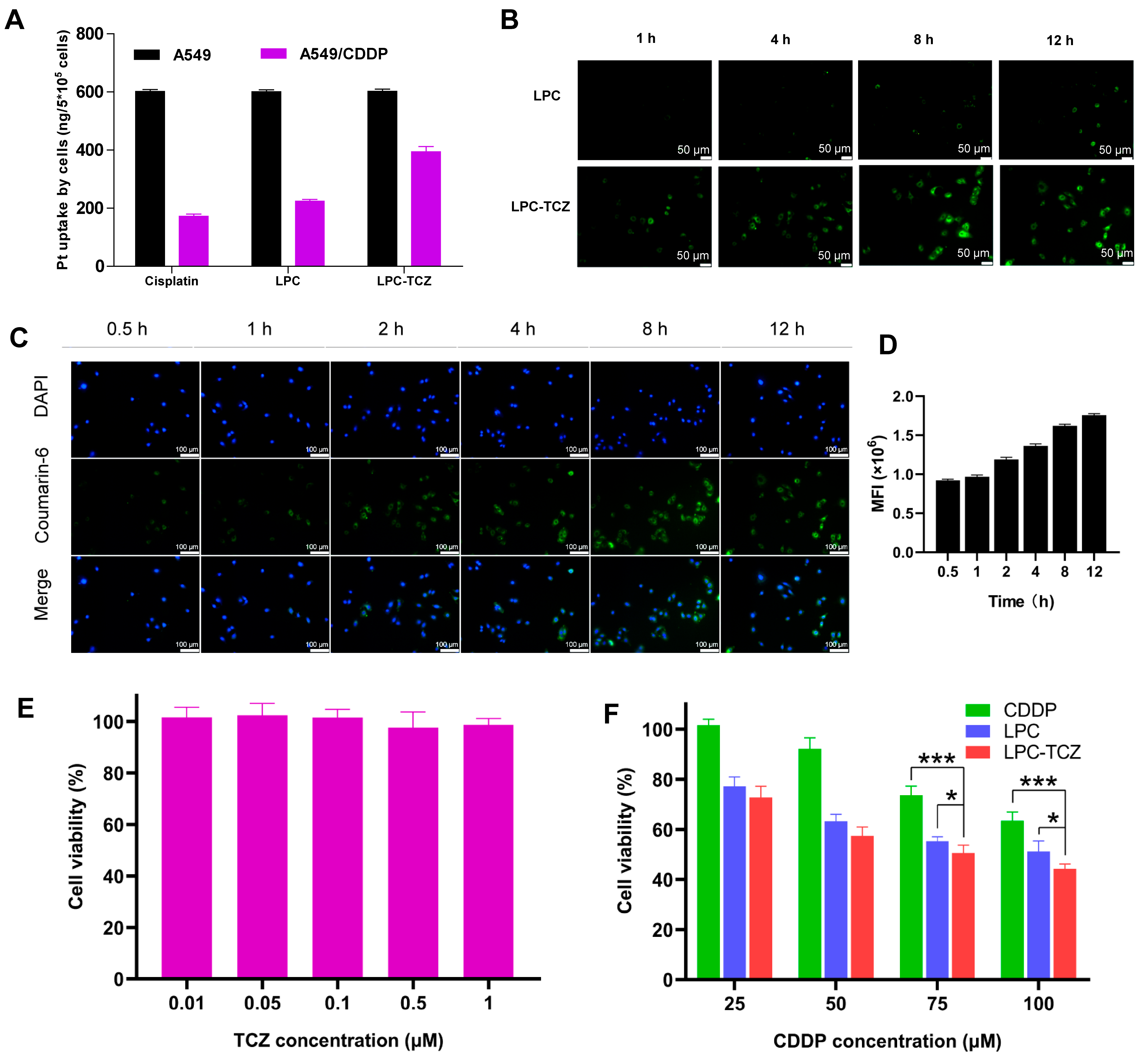 Pharmaceutics 17 00945 g003