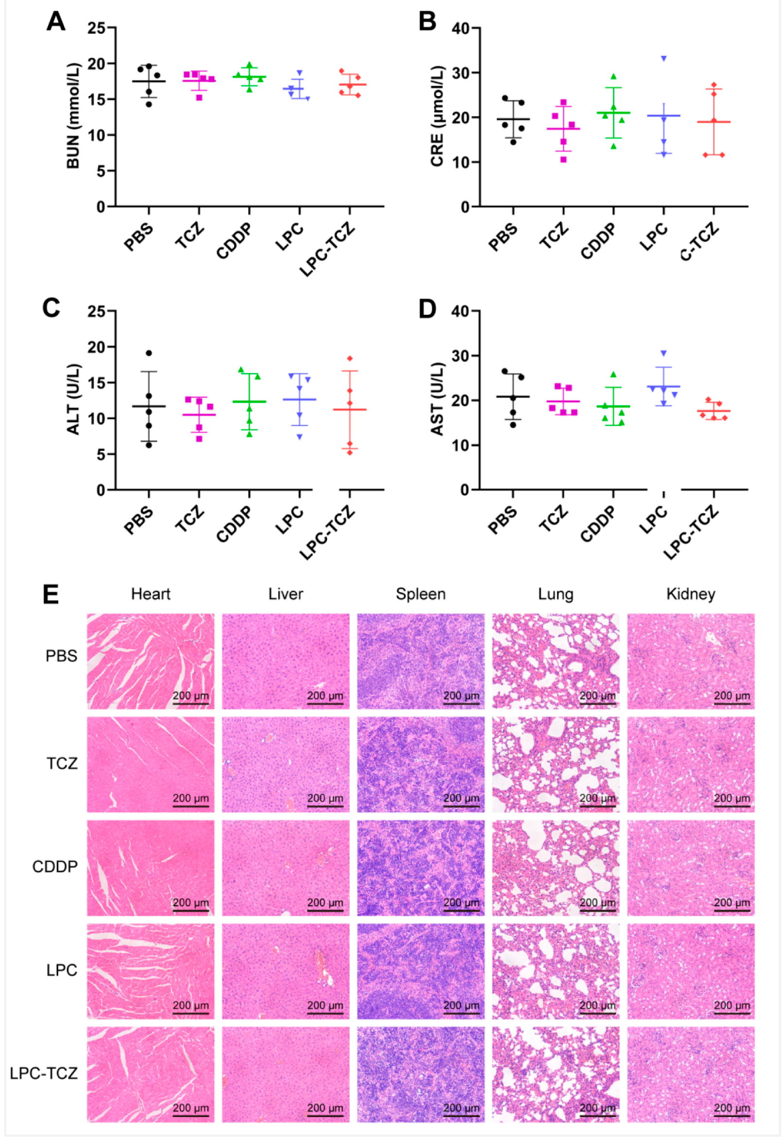 Pharmaceutics 17 00945 g007 Pharmaceutics 17 00945 g007