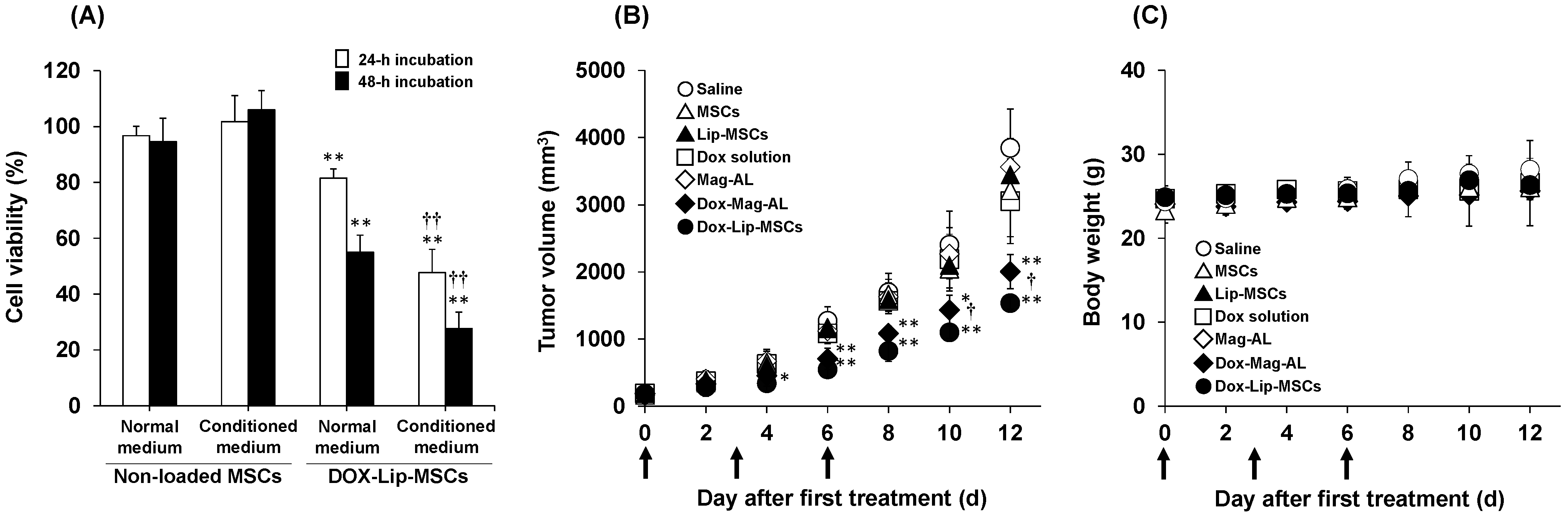 Pharmaceutics 17 00947 g006