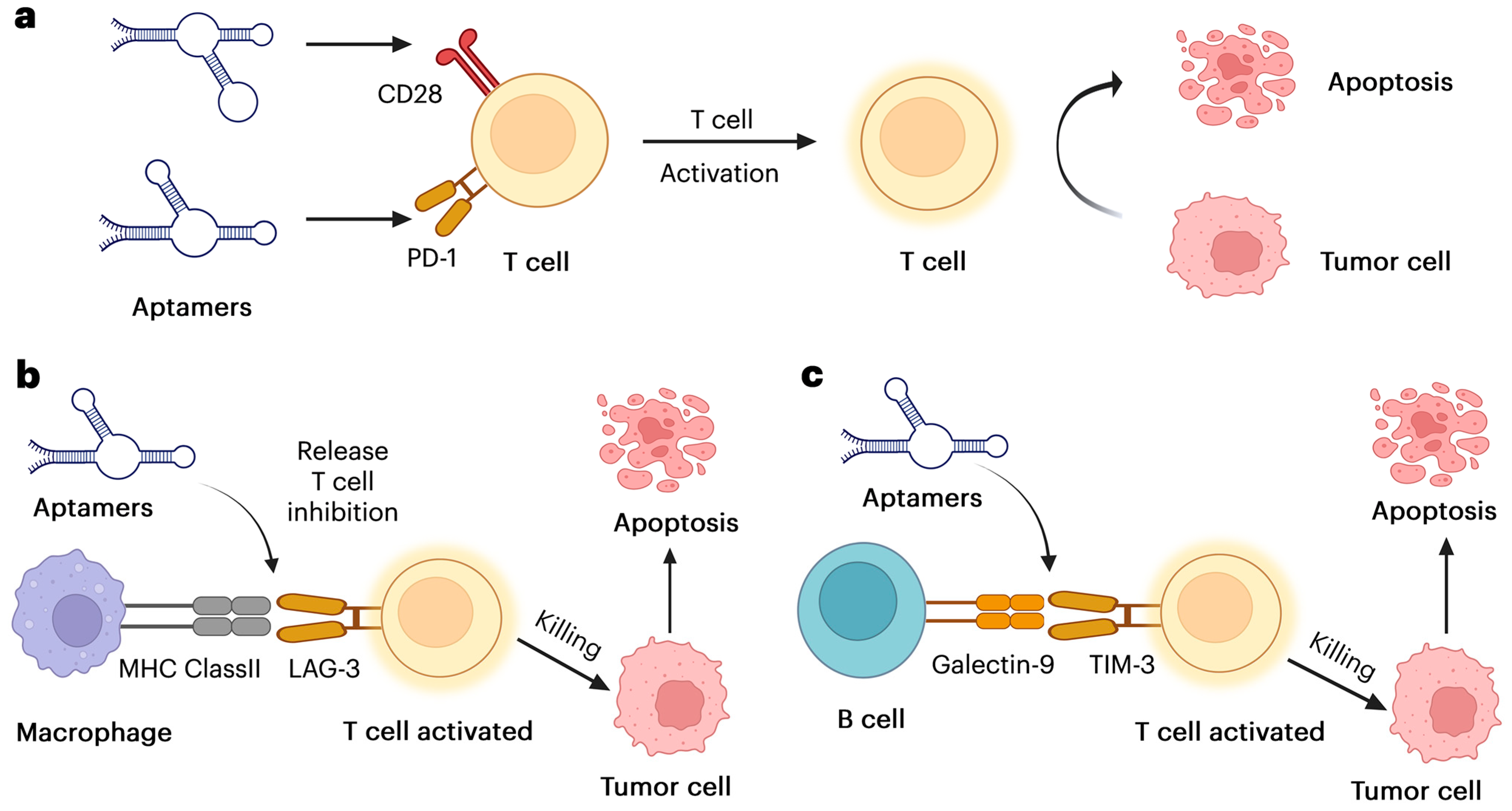 Pharmaceutics 17 00948 g001