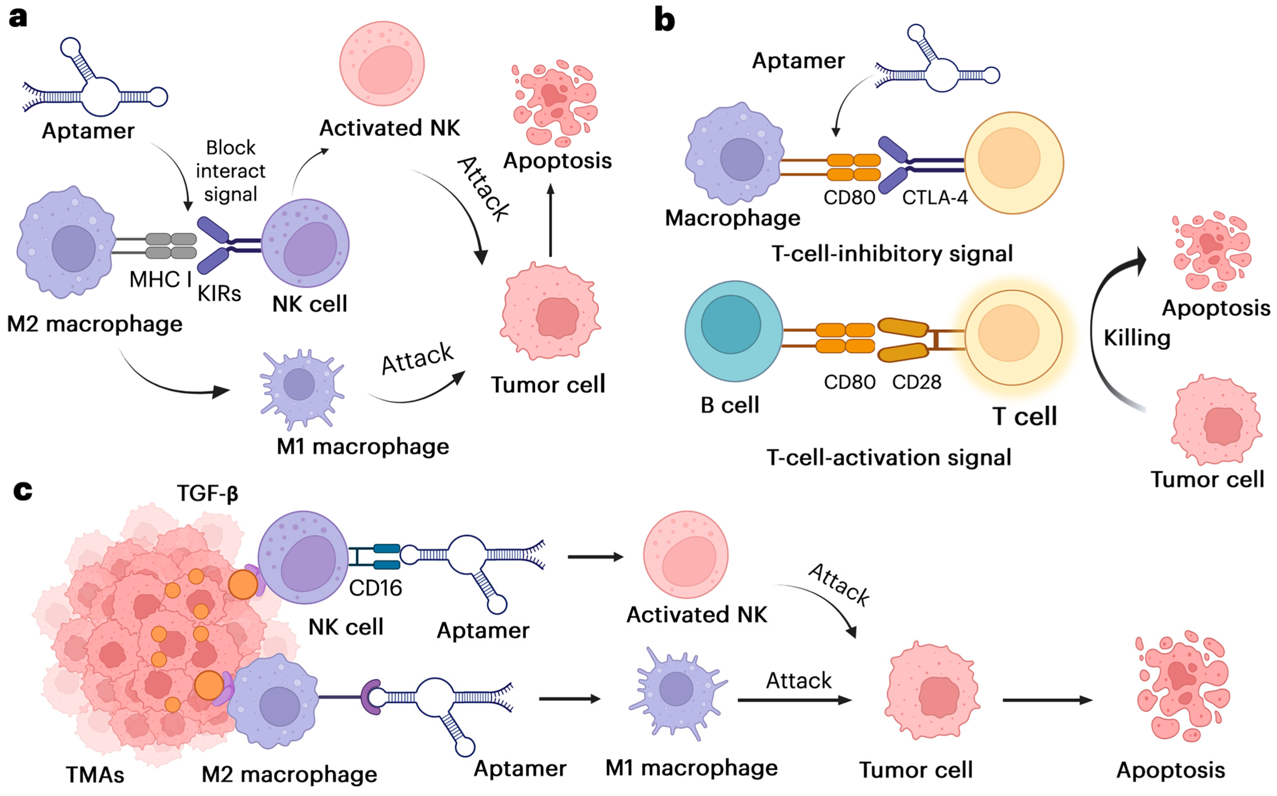 Pharmaceutics 17 00948 g002