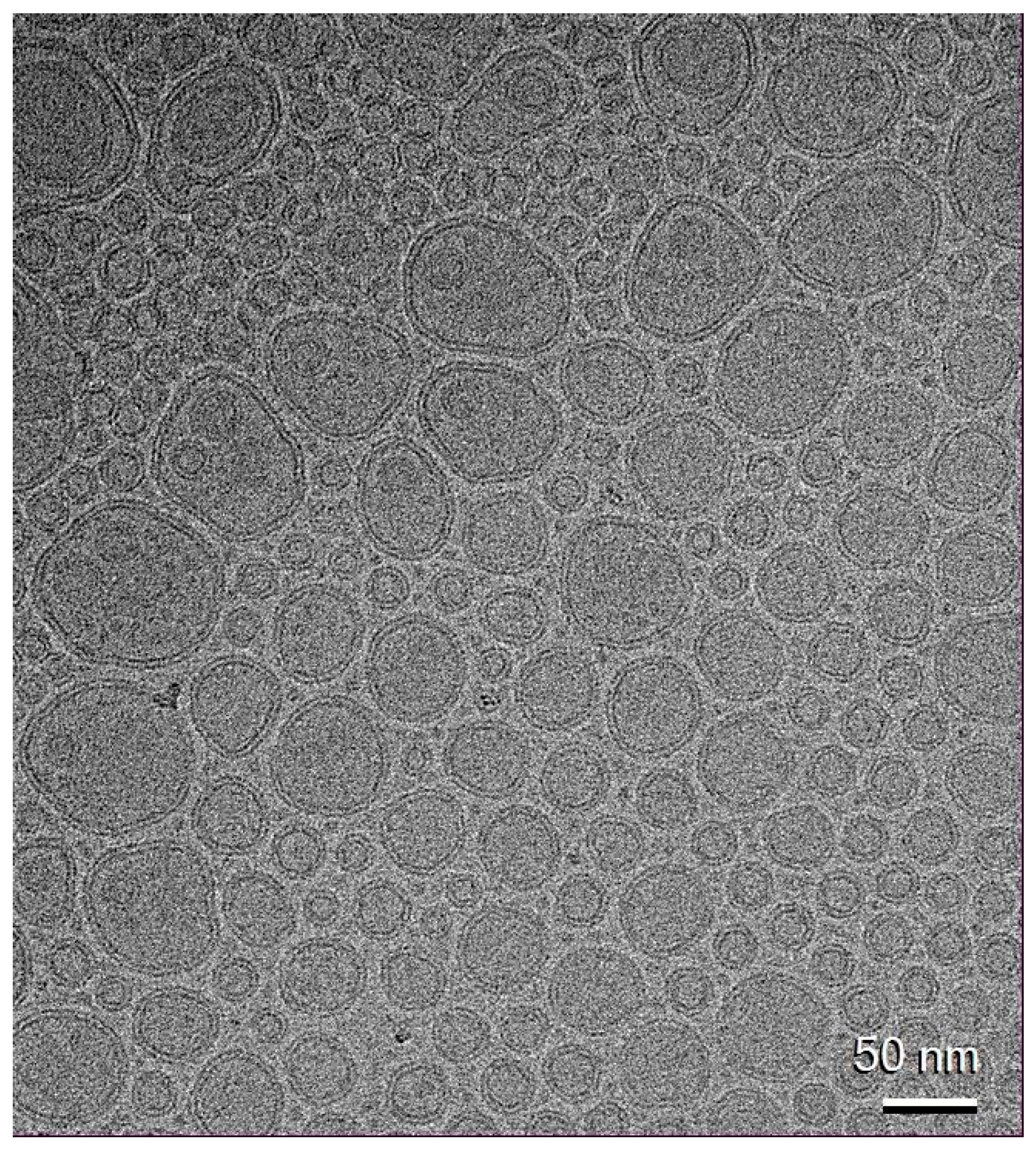 Pharmaceutics 17 00952 g003