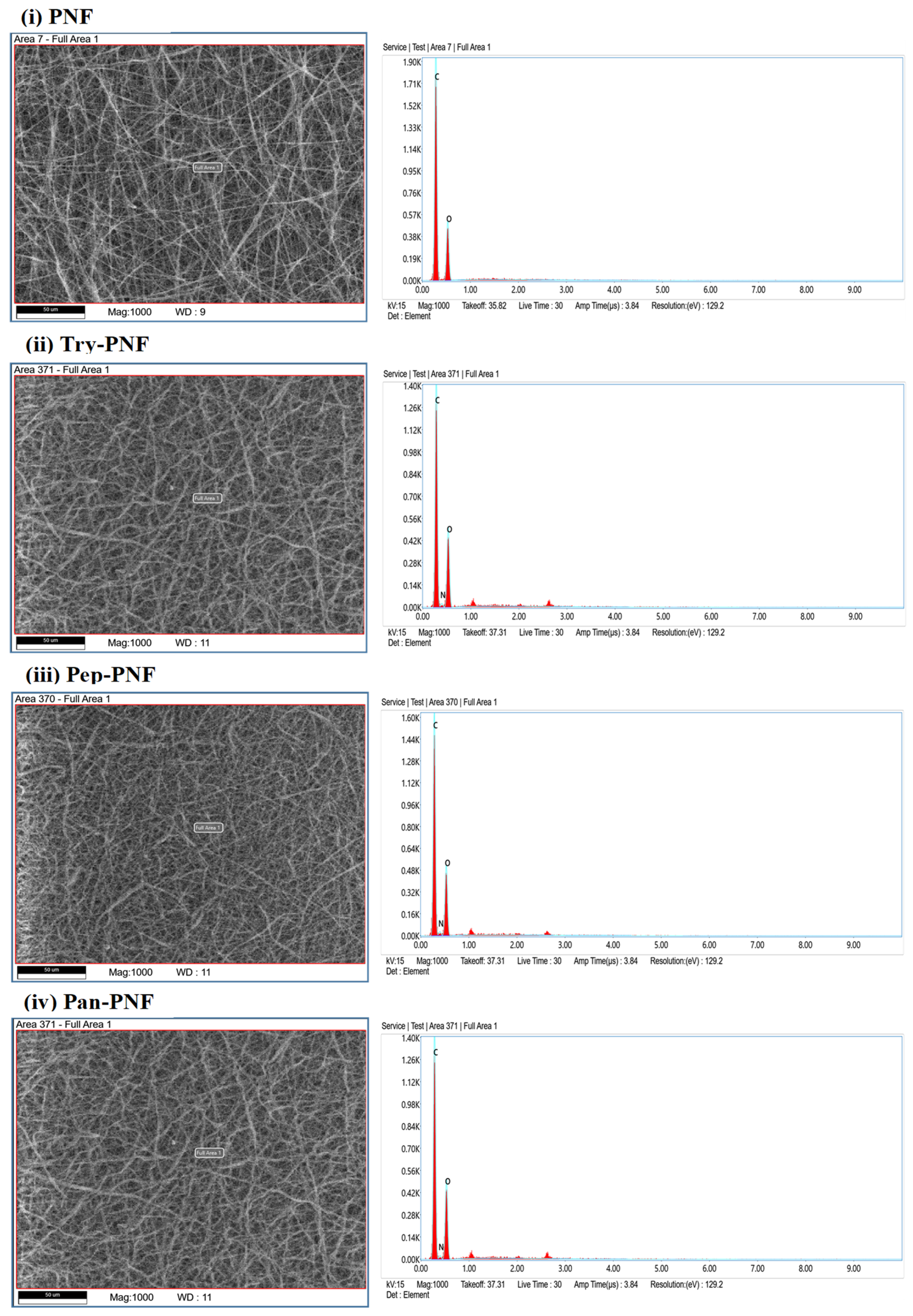 Pharmaceutics 17 00953 g004