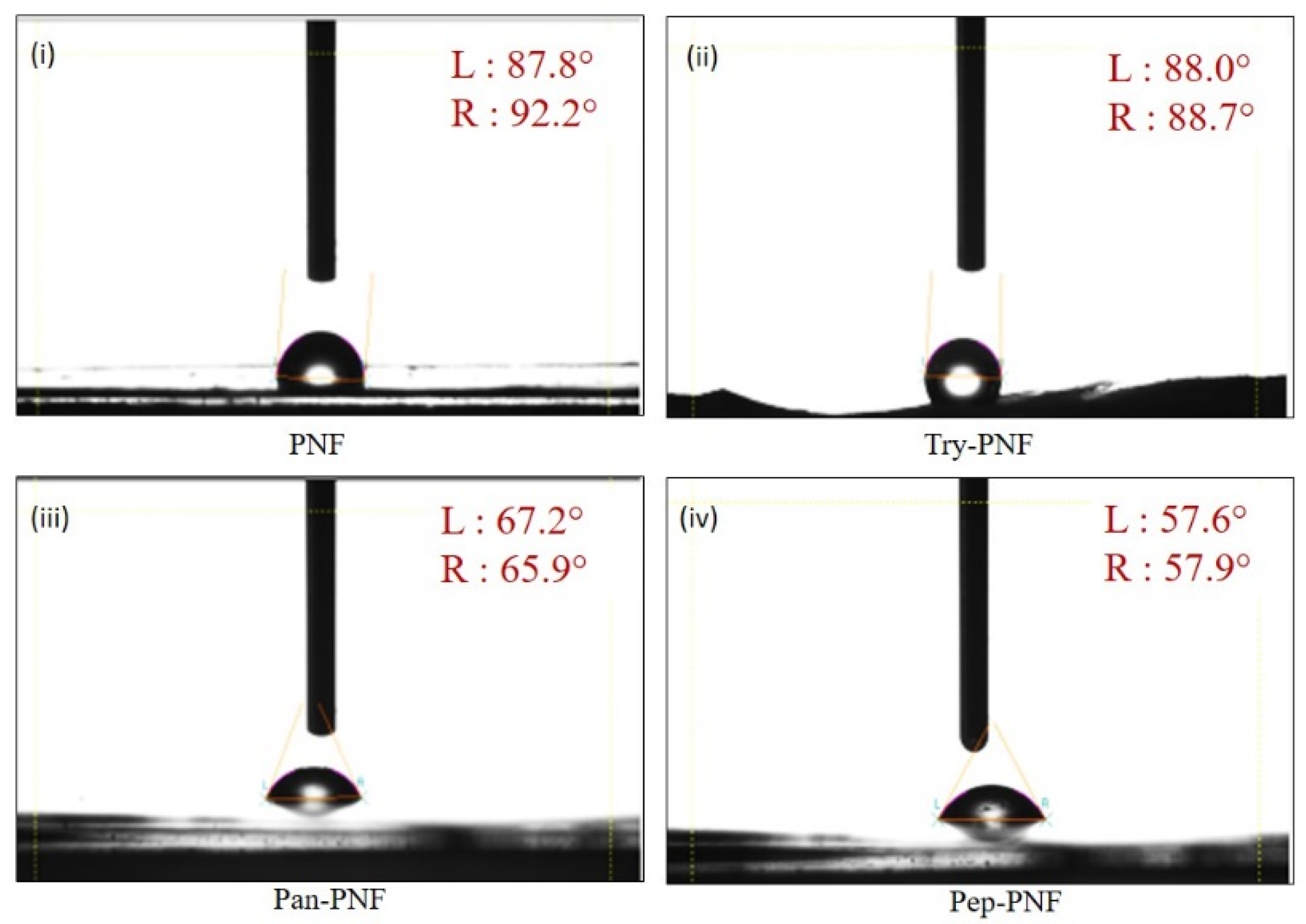 Pharmaceutics 17 00953 g005