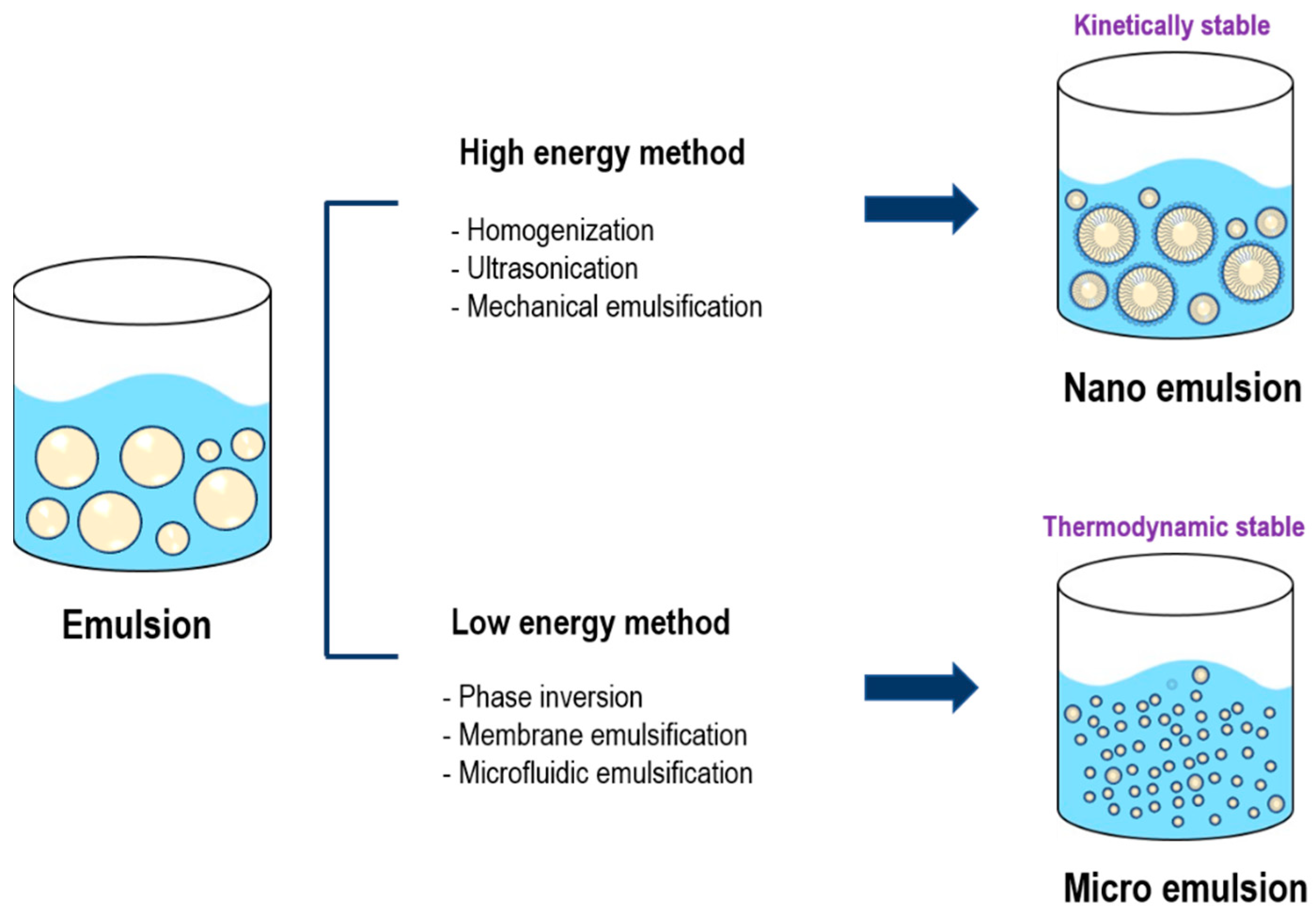 Pharmaceutics 17 00958 g004