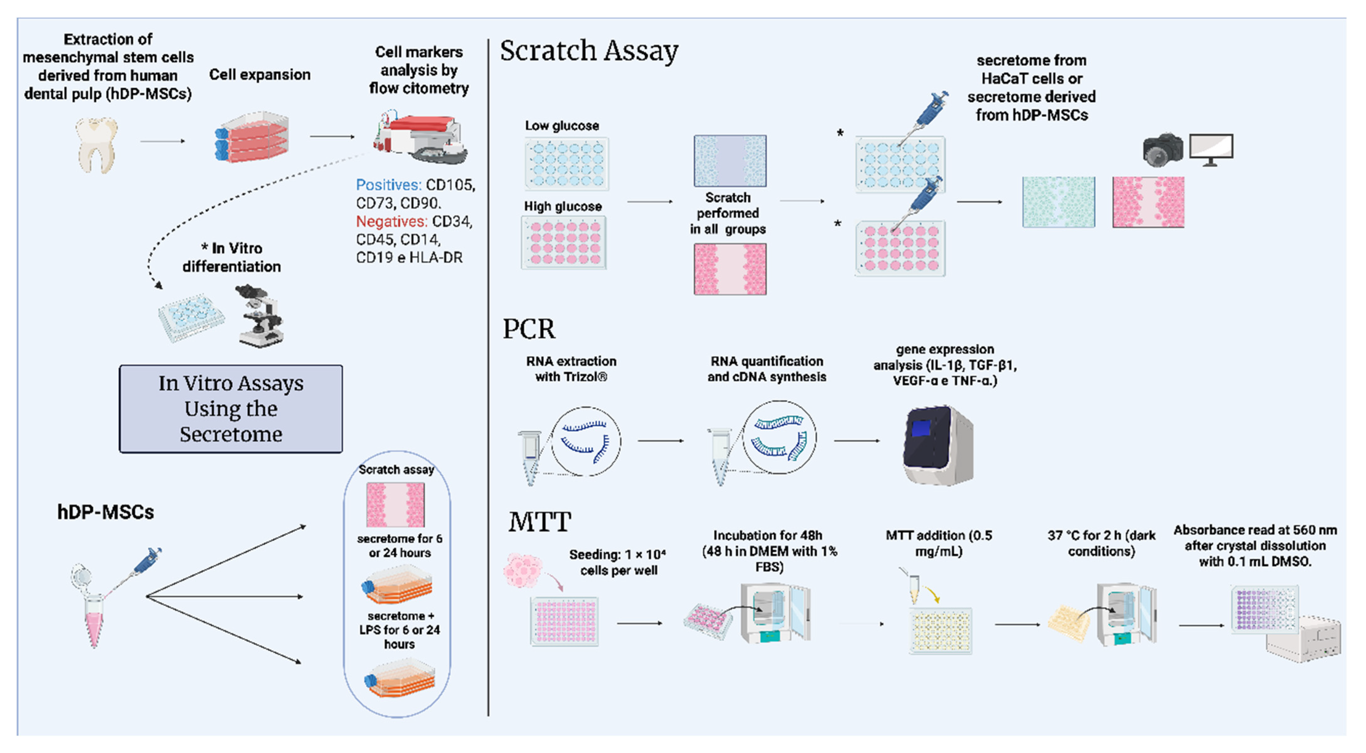 Pharmaceutics 17 00961 g001