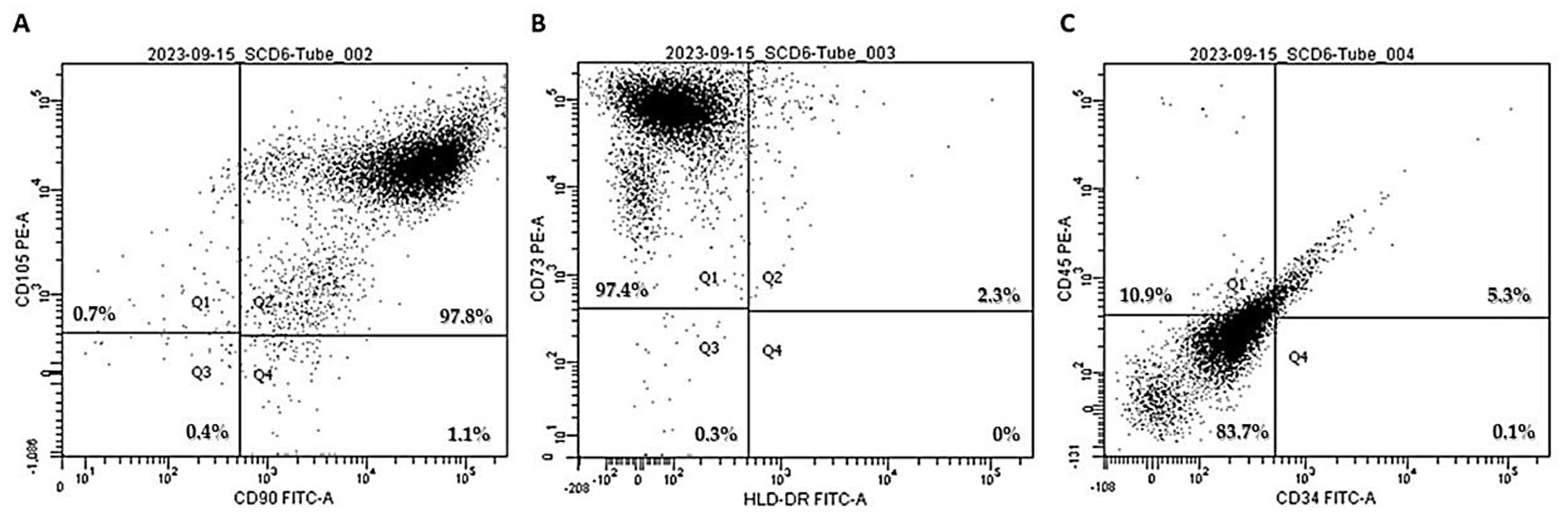 Pharmaceutics 17 00961 g002