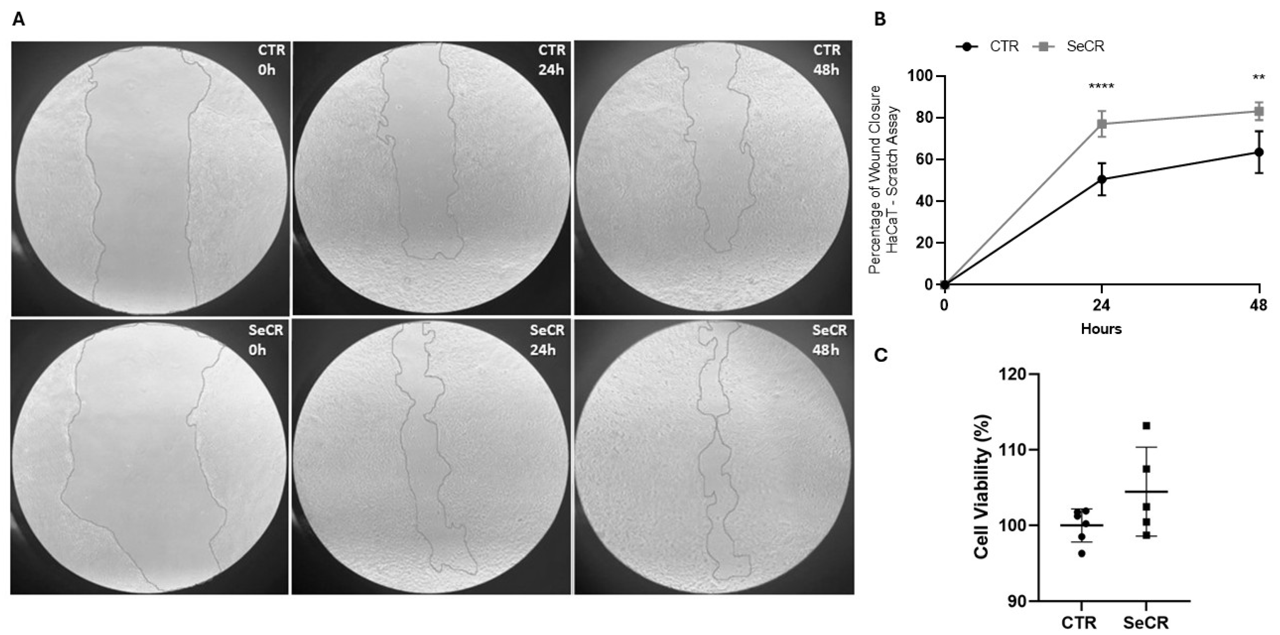Pharmaceutics 17 00961 g004