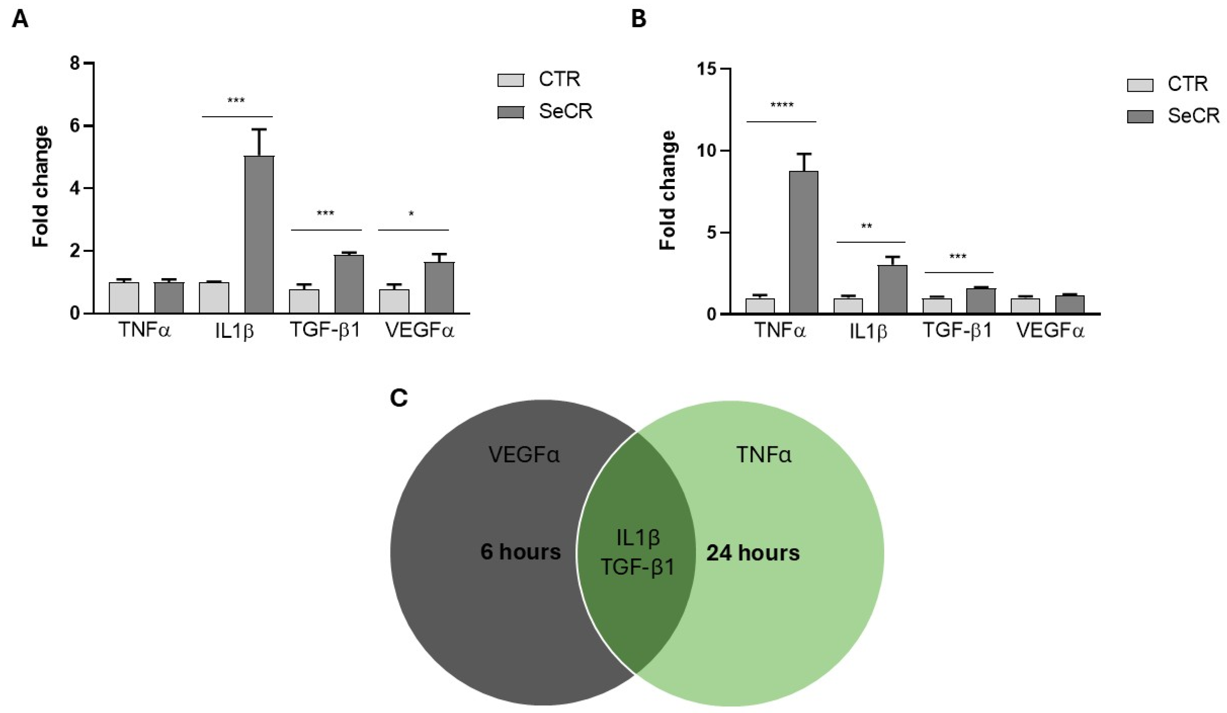 Pharmaceutics 17 00961 g005
