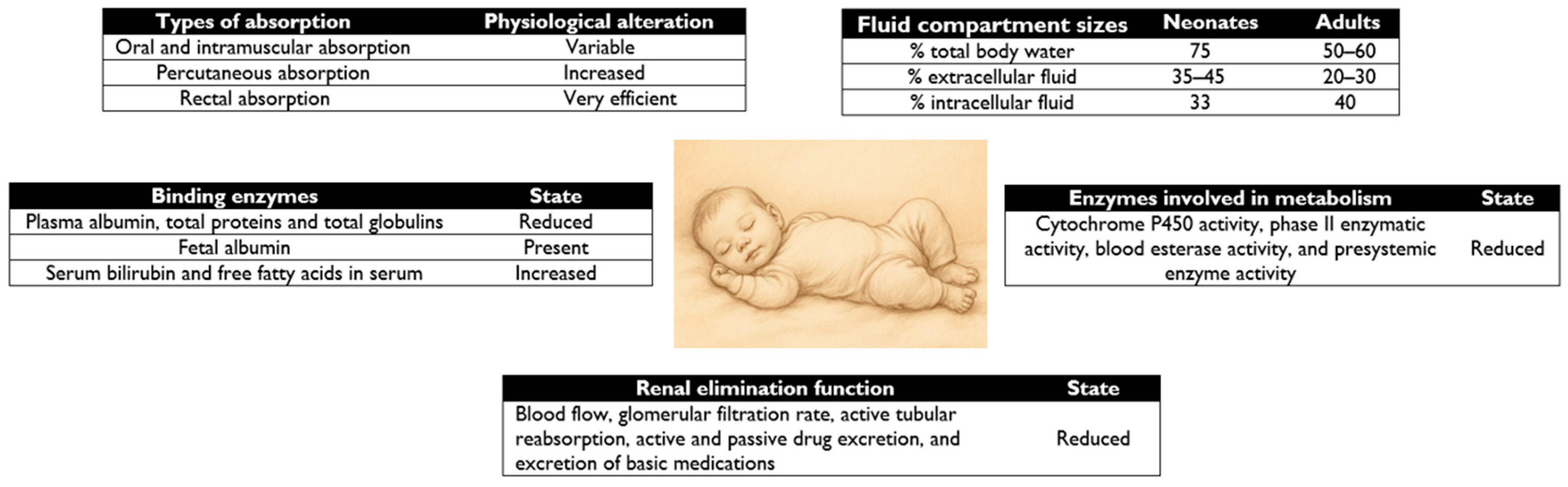 Pharmaceutics 17 00963 g001