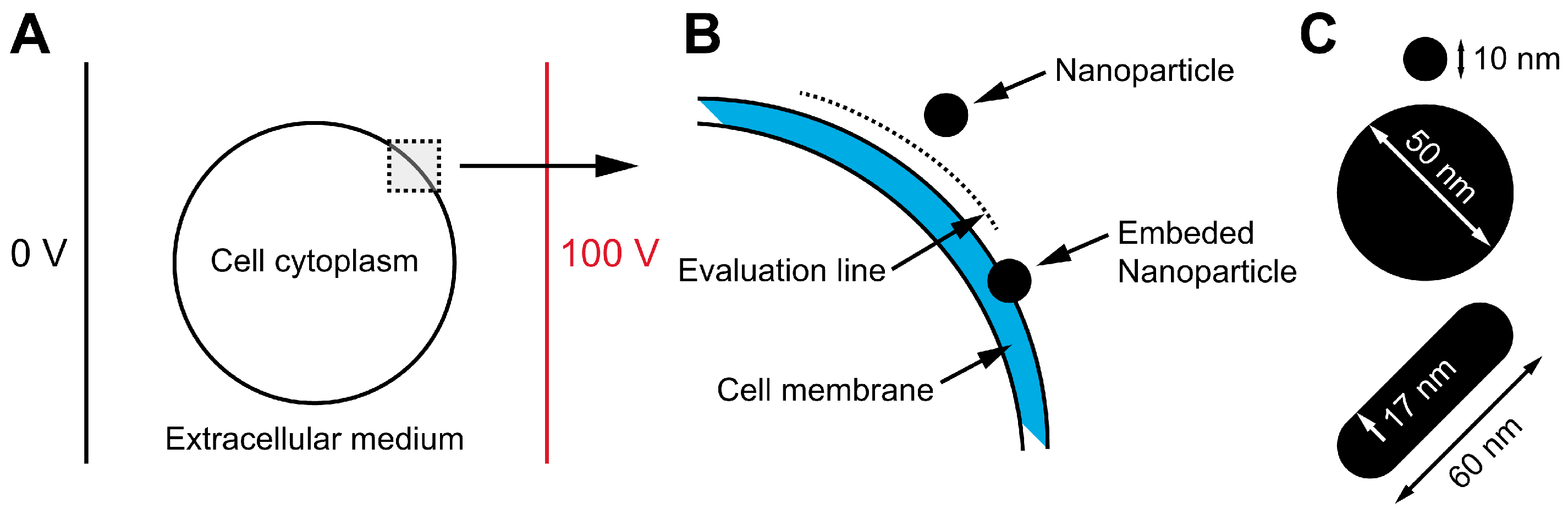 Pharmaceutics 17 00964 g001