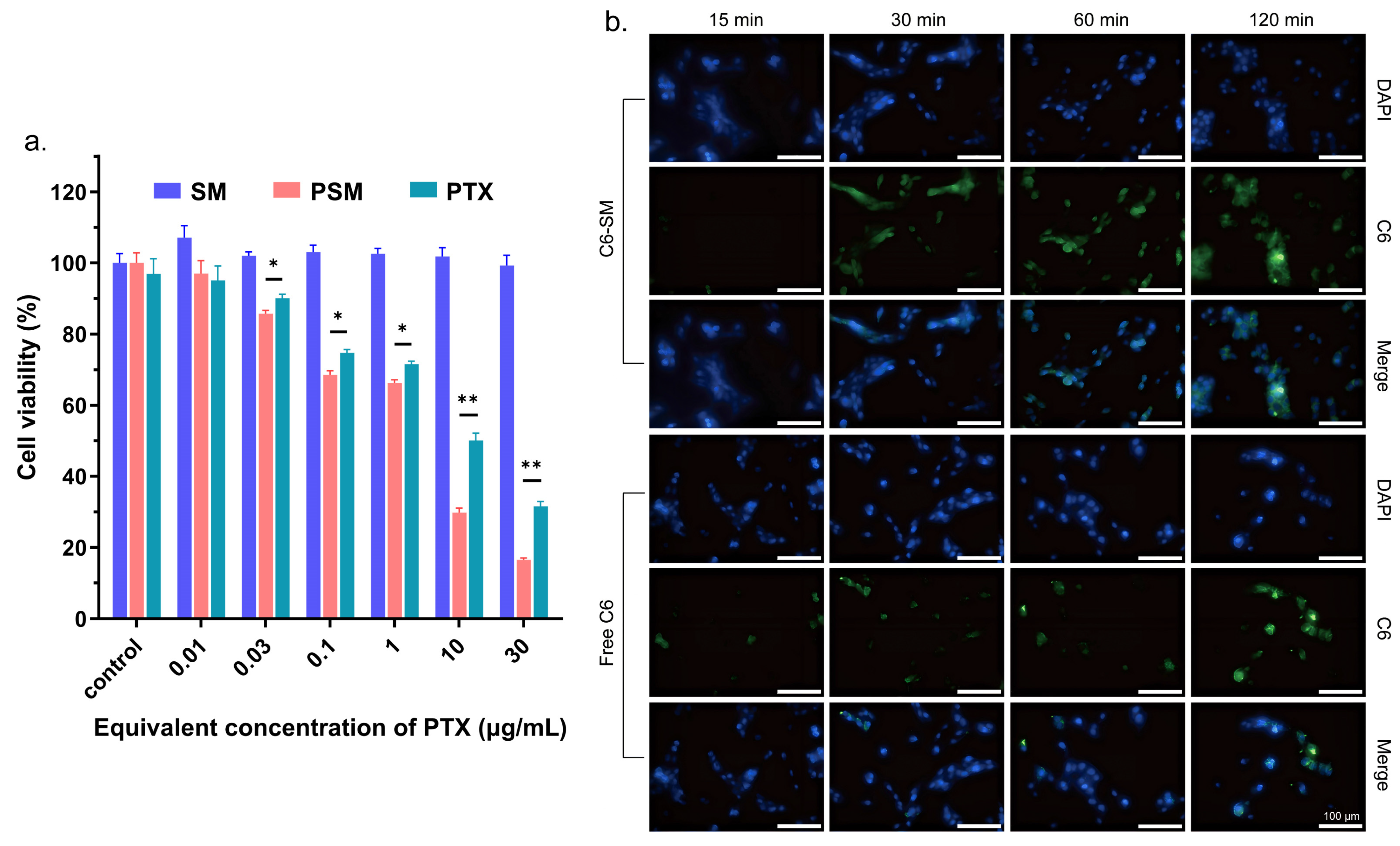 Pharmaceutics 17 00965 g002