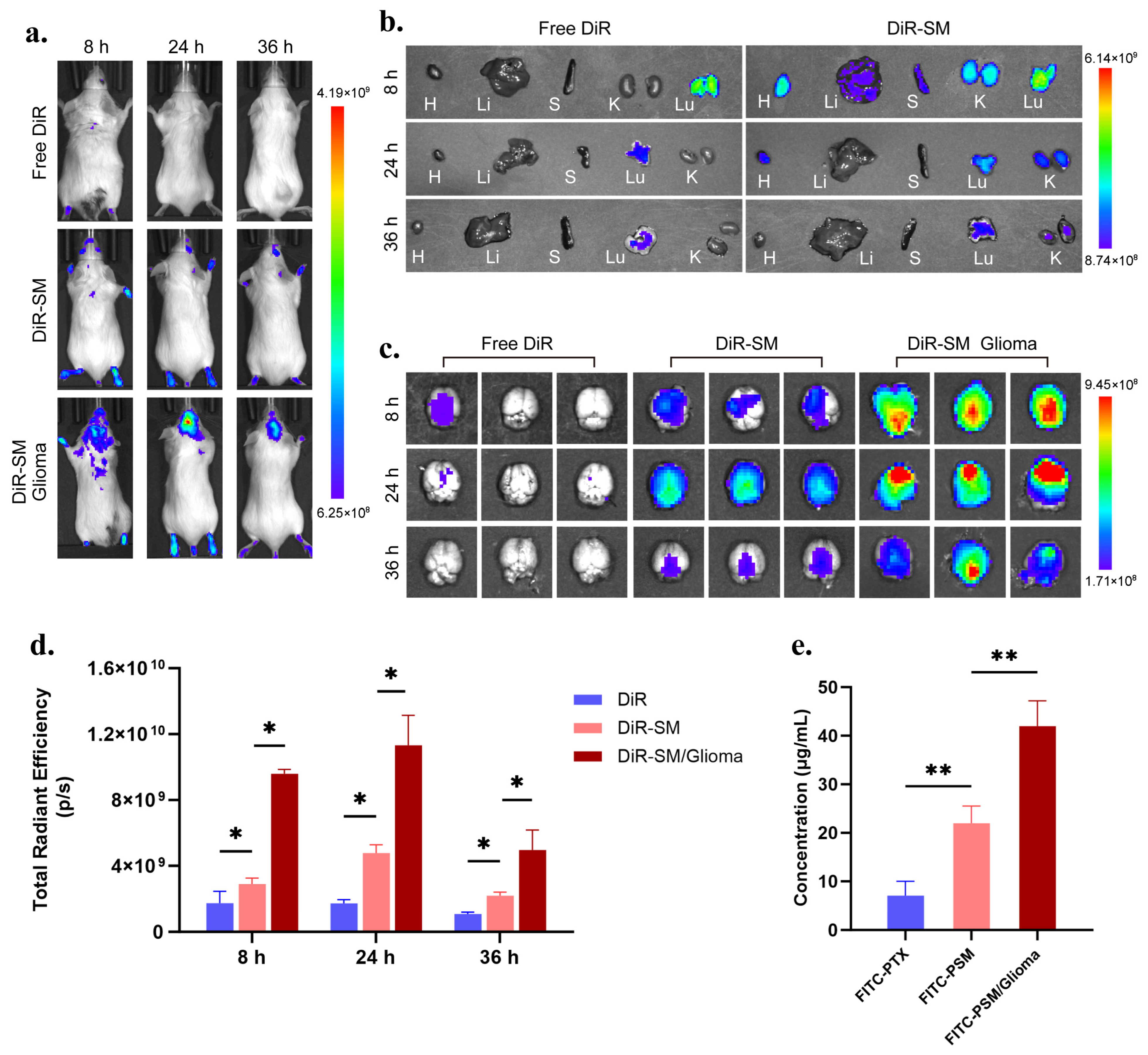 Pharmaceutics 17 00965 g003