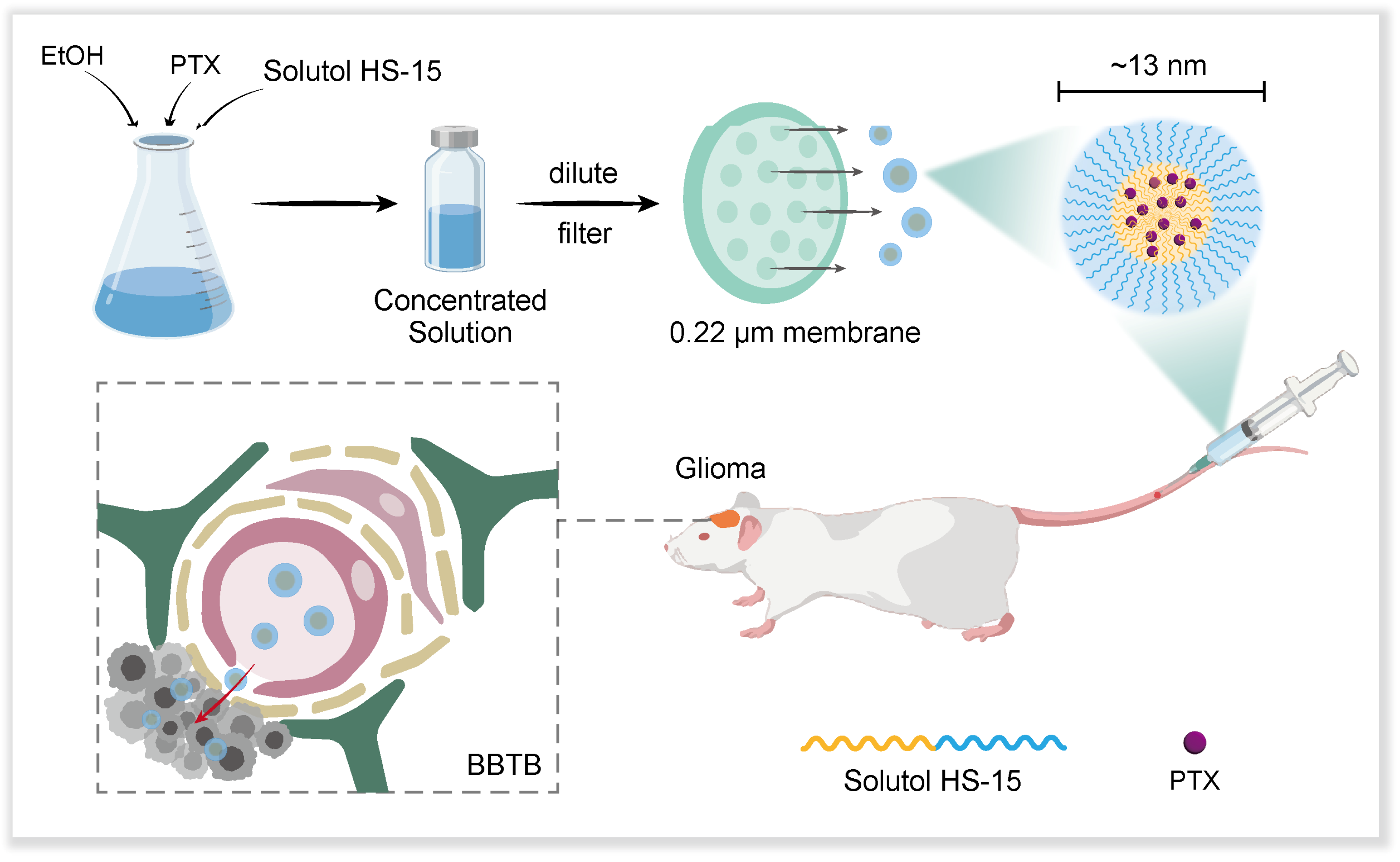 Pharmaceutics 17 00965 sch001