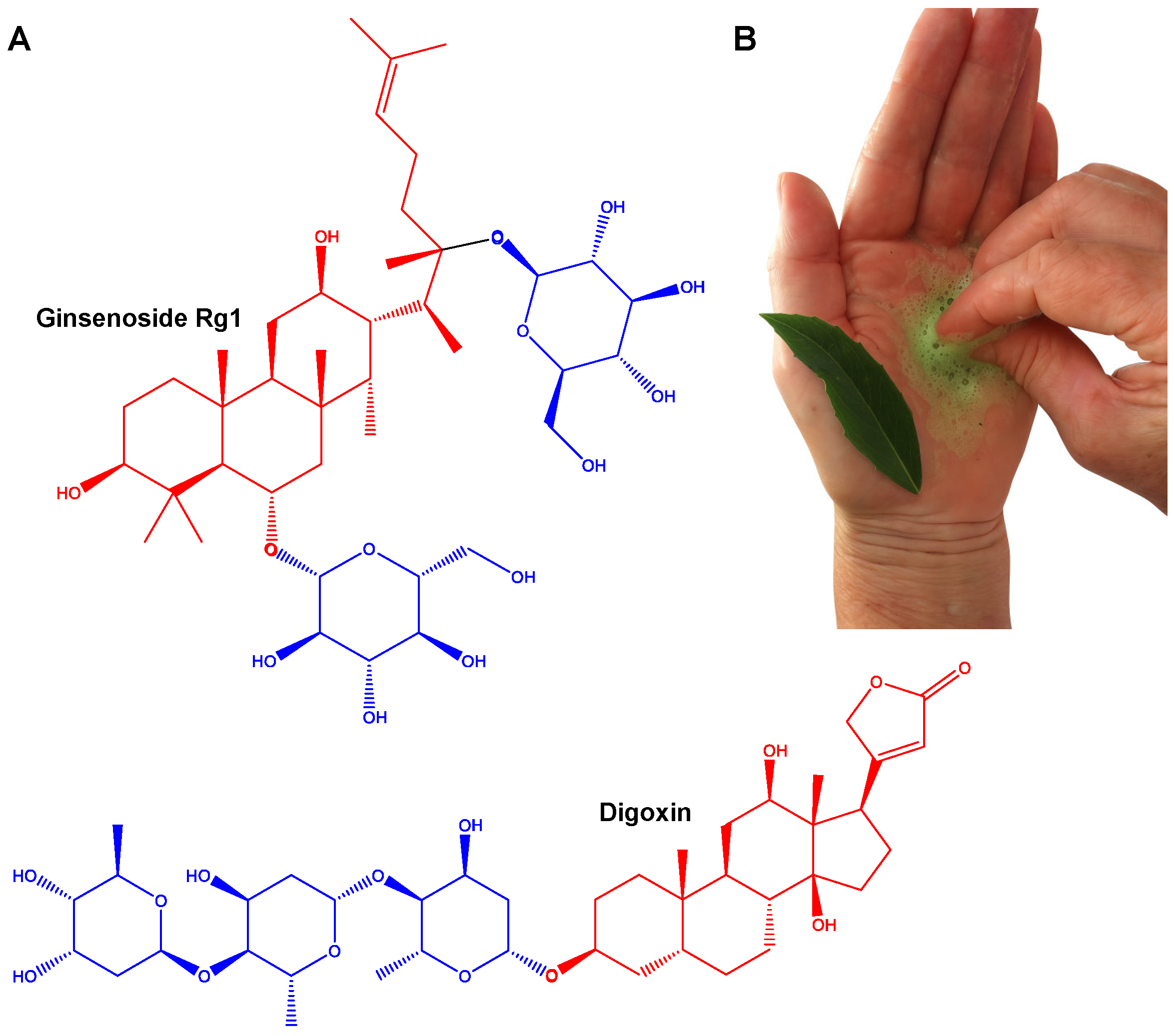 Pharmaceutics 17 00966 g001 Pharmaceutics 17 00966 g001