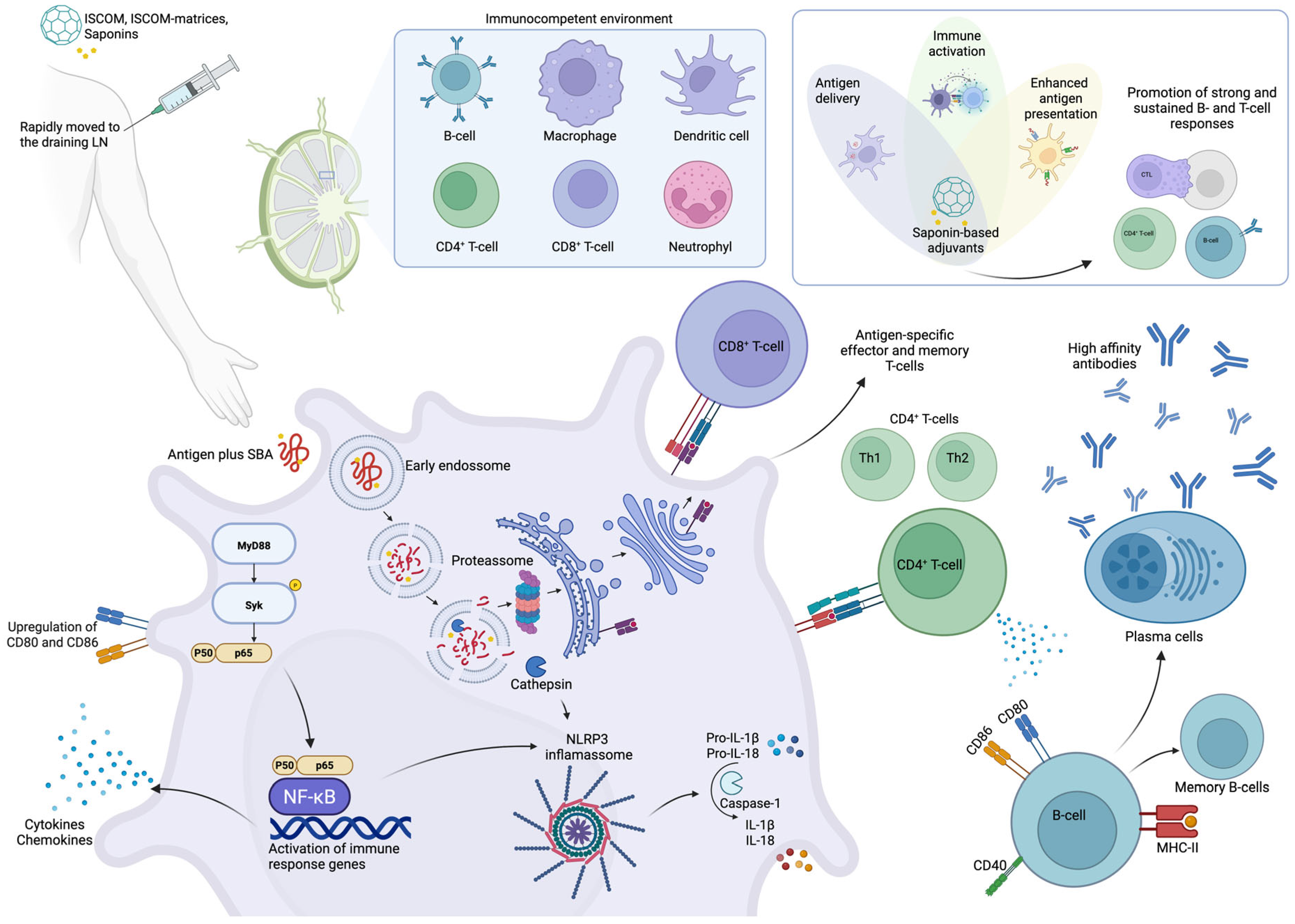 Pharmaceutics 17 00966 g003 Pharmaceutics 17 00966 g003