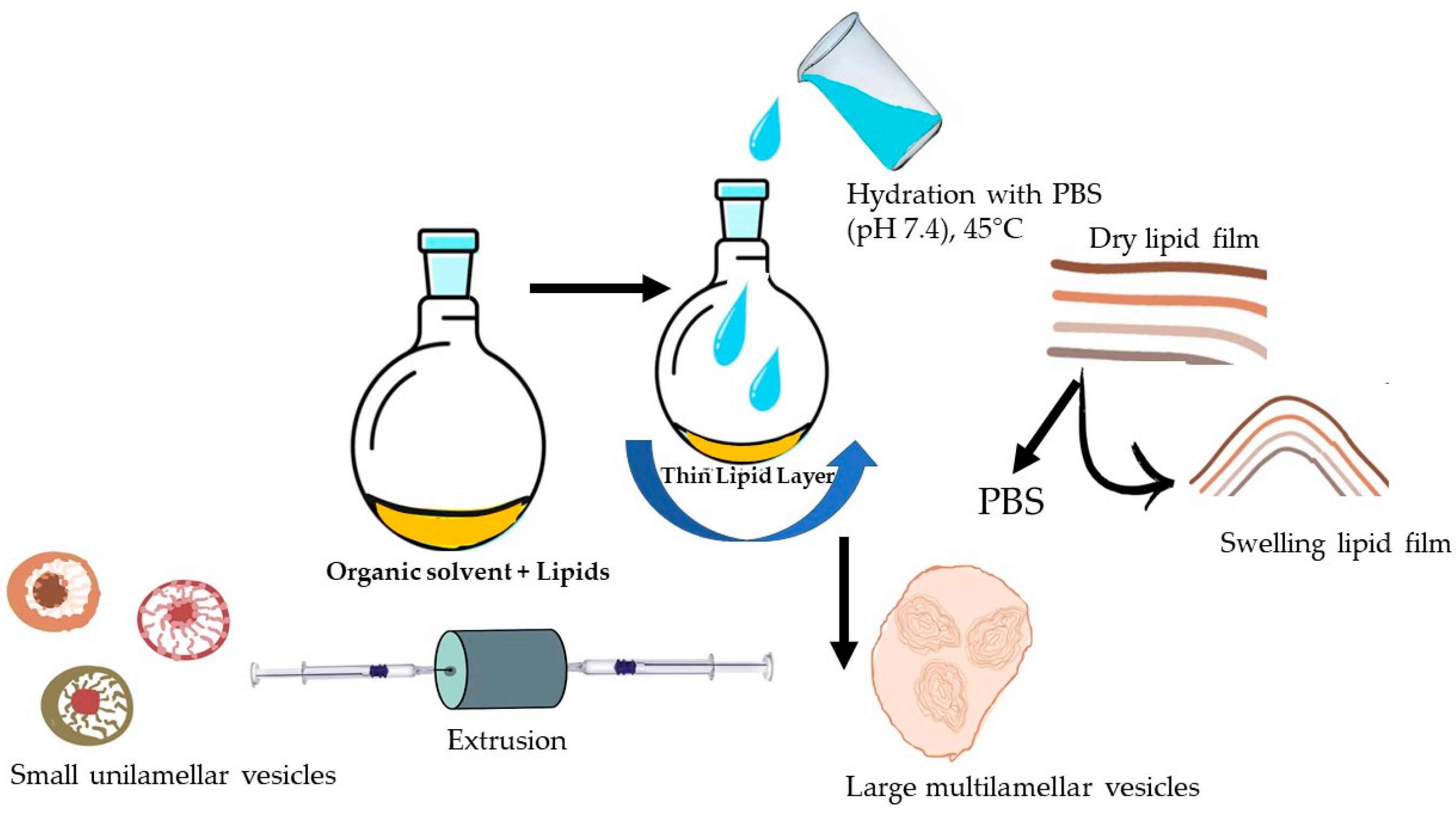 Pharmaceutics 17 00969 g001