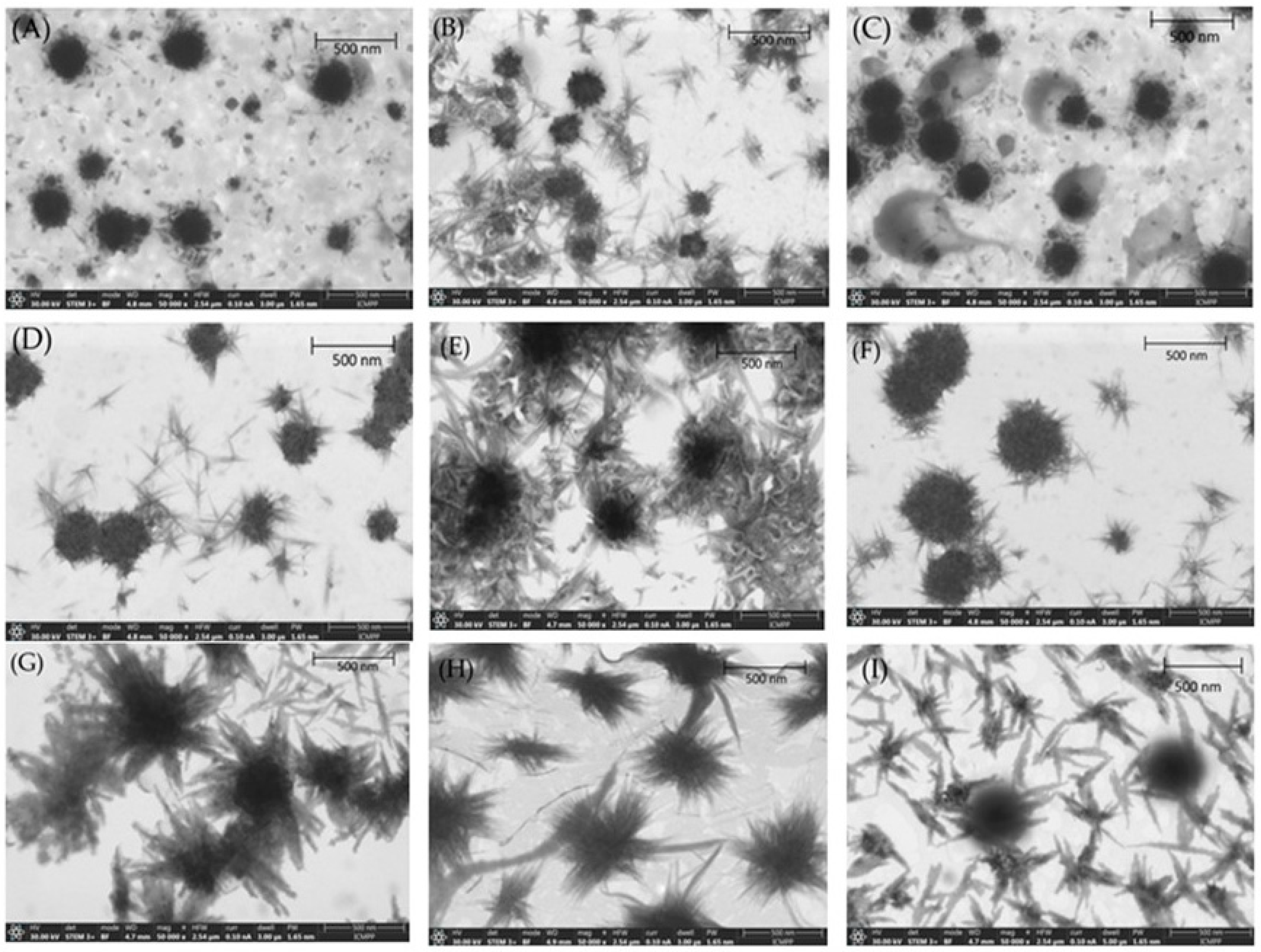 Pharmaceutics 17 00969 g002