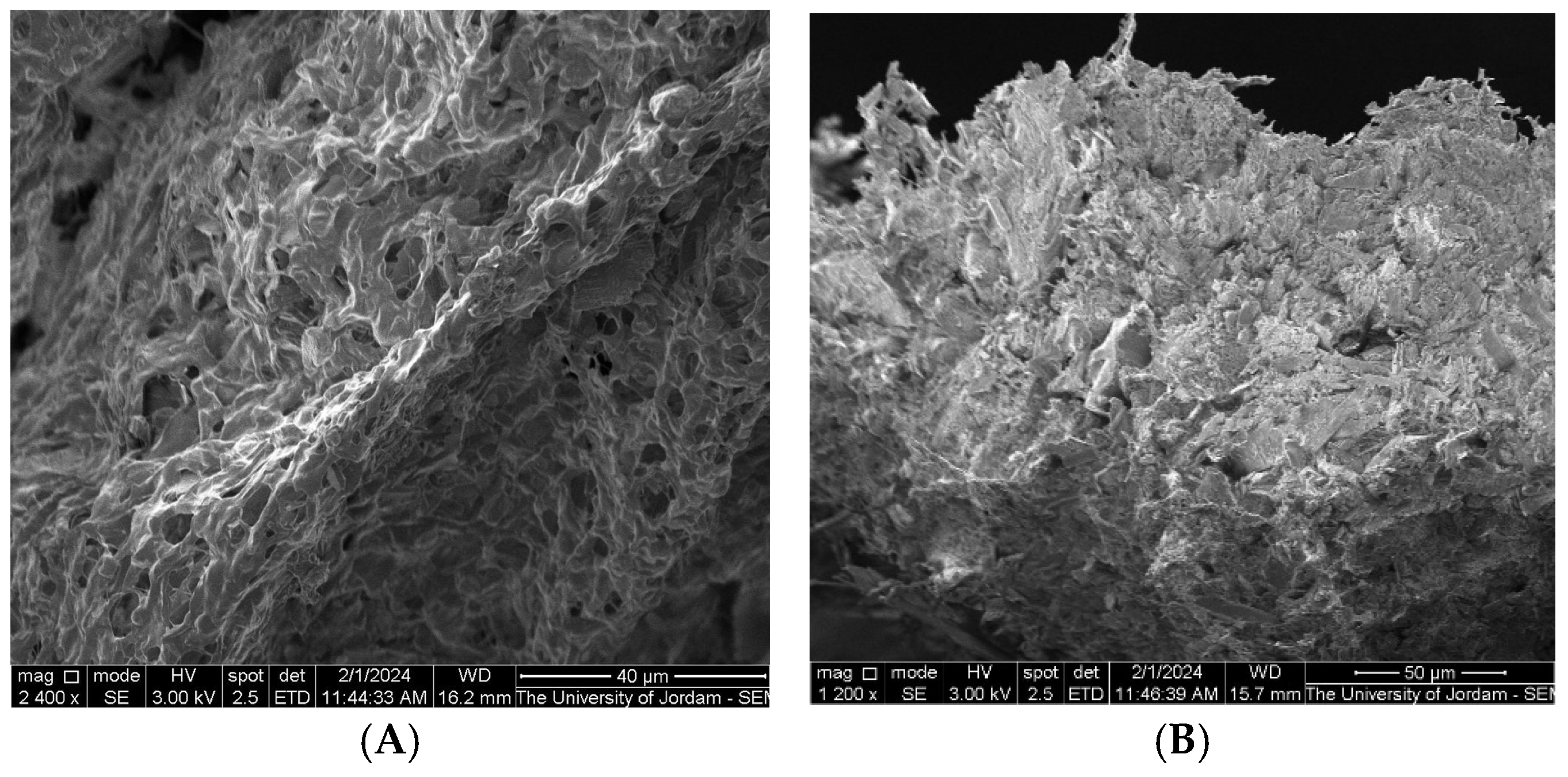 Pharmaceutics 17 00974 g003