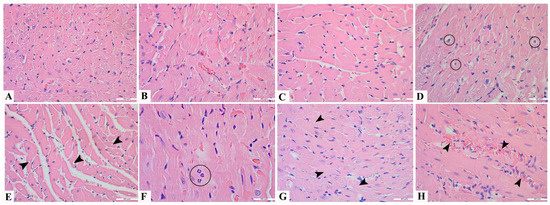 take 43247_2025_2086_Fig1_HTML.png