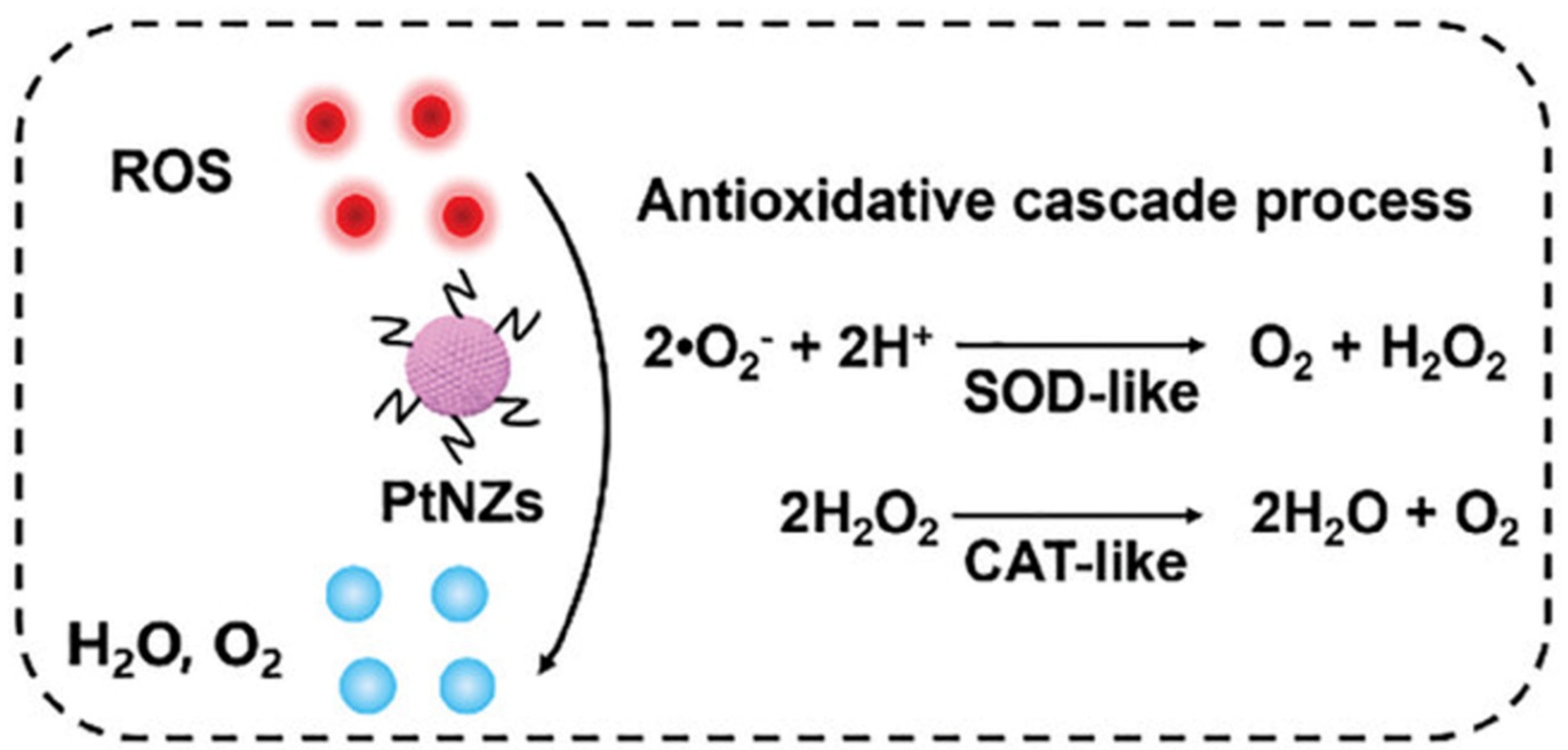Pharmaceutics 17 00984 g002 Pharmaceutics 17 00984 g002