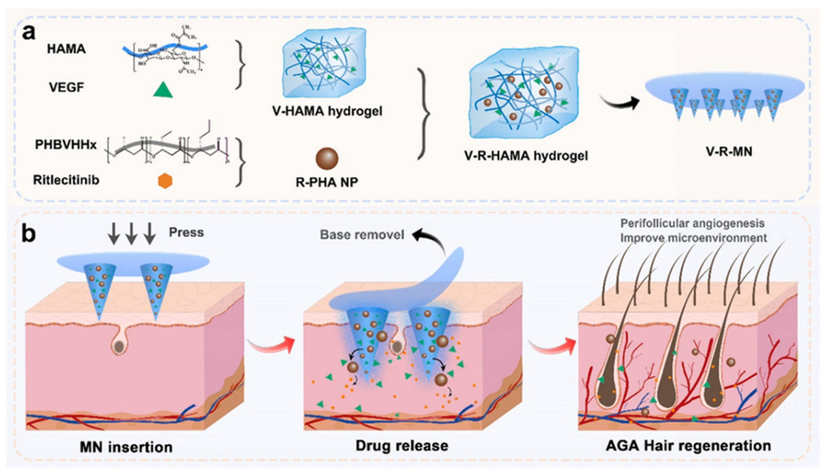 Pharmaceutics 17 00984 g003 Pharmaceutics 17 00984 g003