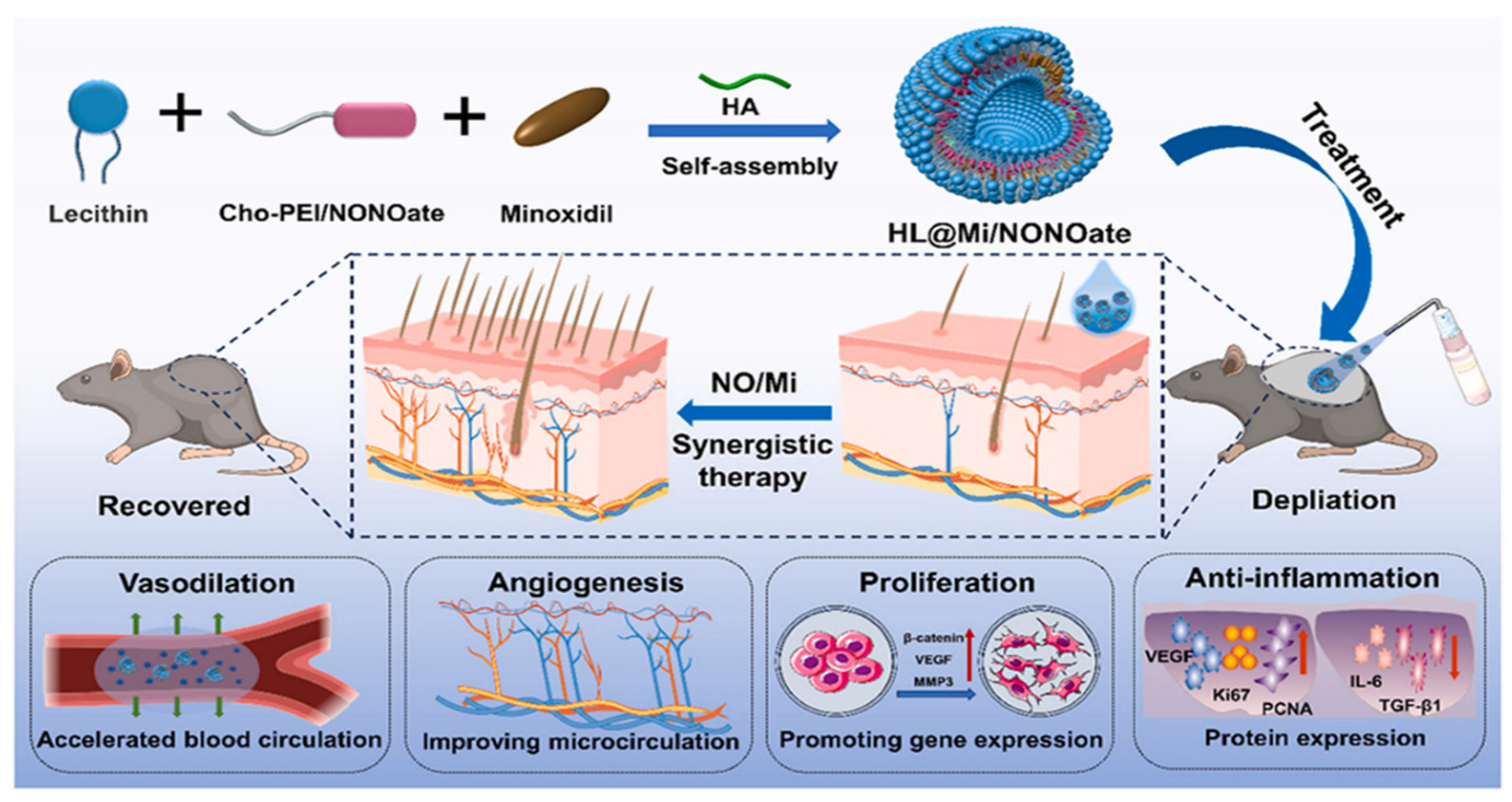 Pharmaceutics 17 00984 g004 Pharmaceutics 17 00984 g004