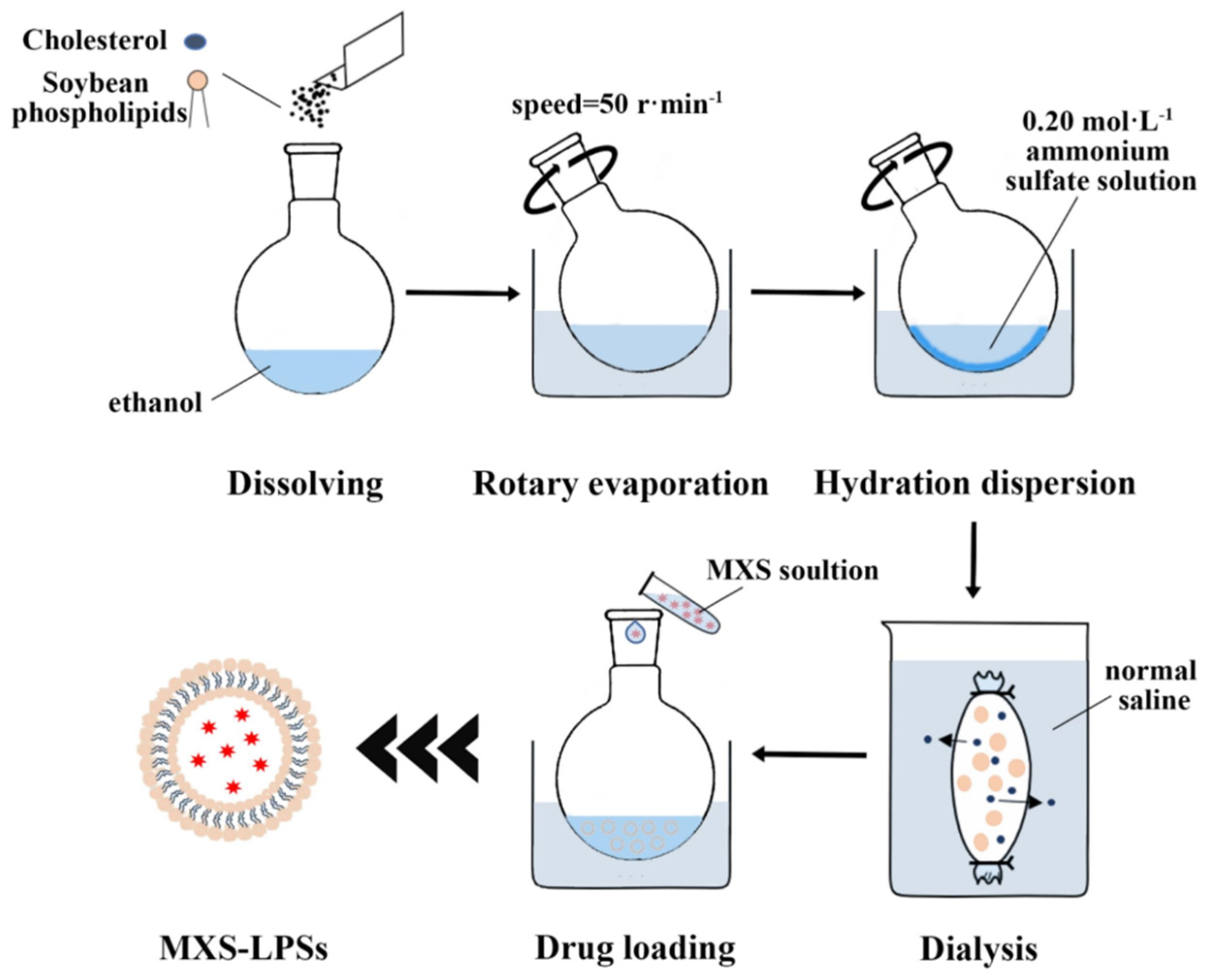 Pharmaceutics 17 00984 g005 Pharmaceutics 17 00984 g005