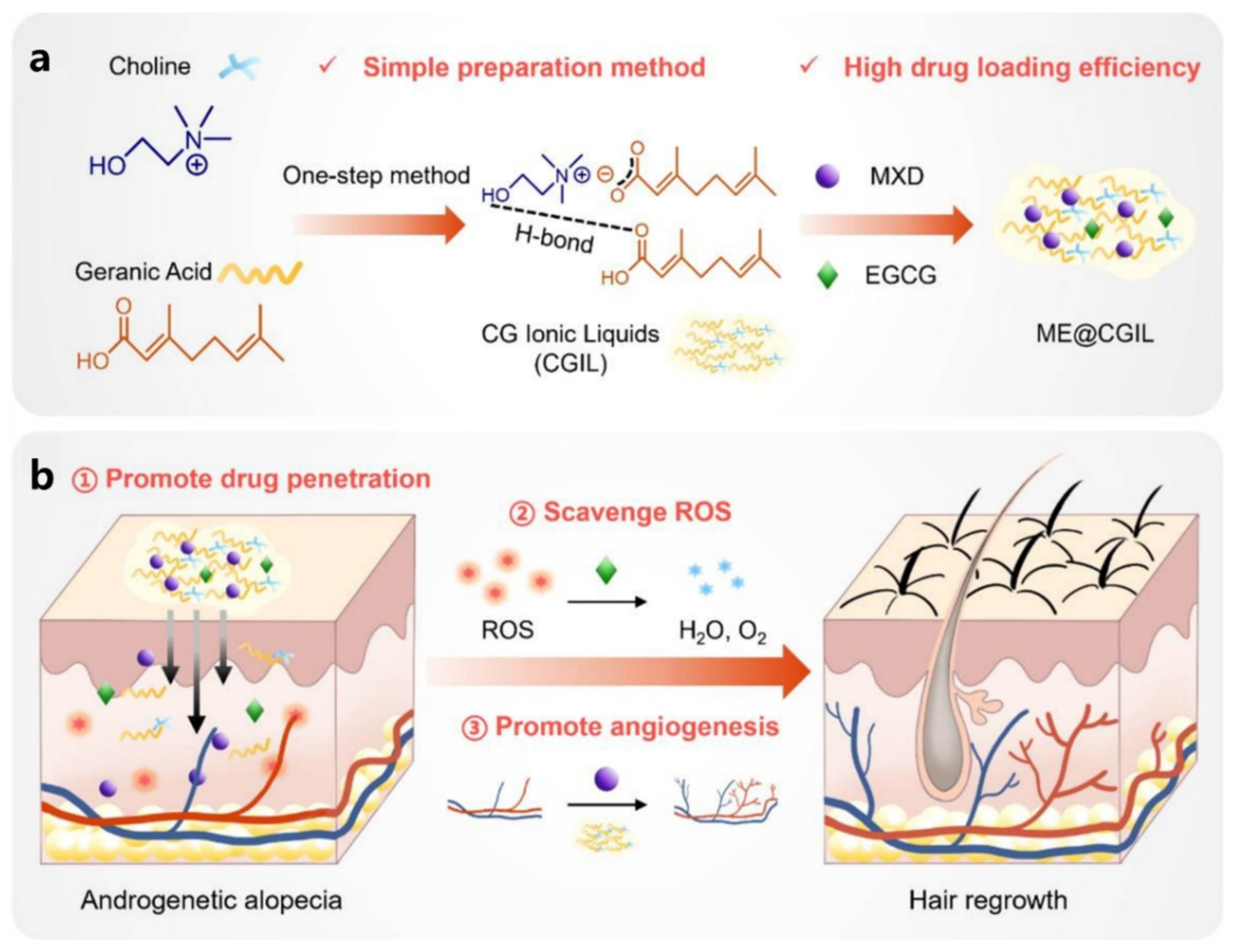 Pharmaceutics 17 00984 g007 Pharmaceutics 17 00984 g007
