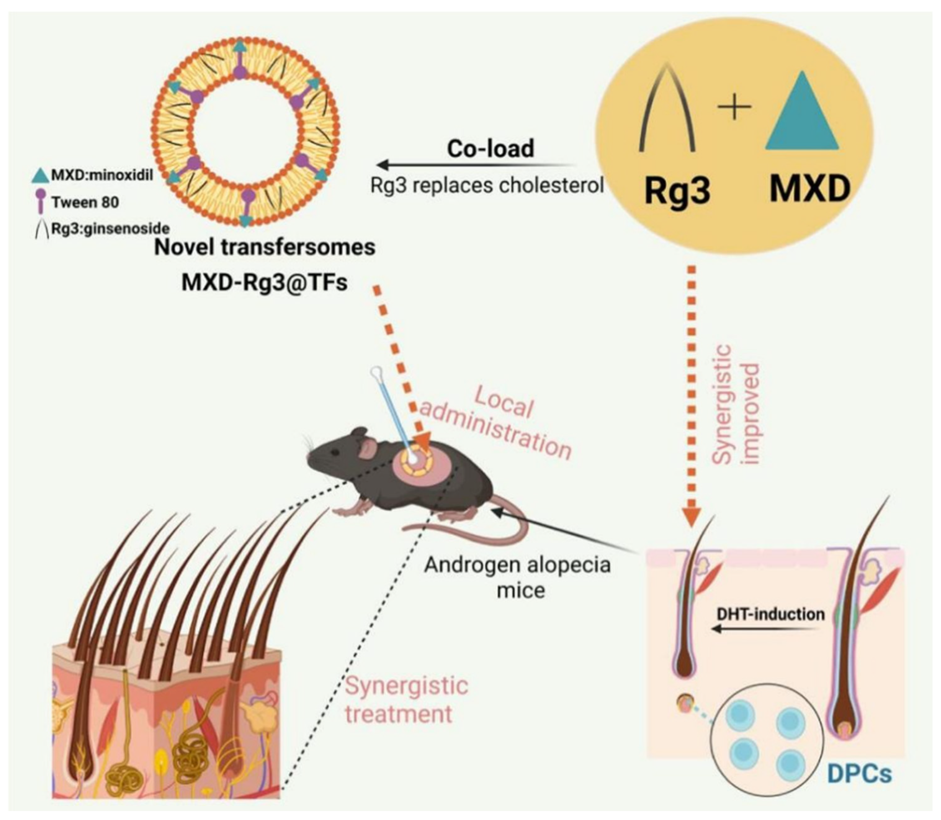 Pharmaceutics 17 00984 g008 Pharmaceutics 17 00984 g008