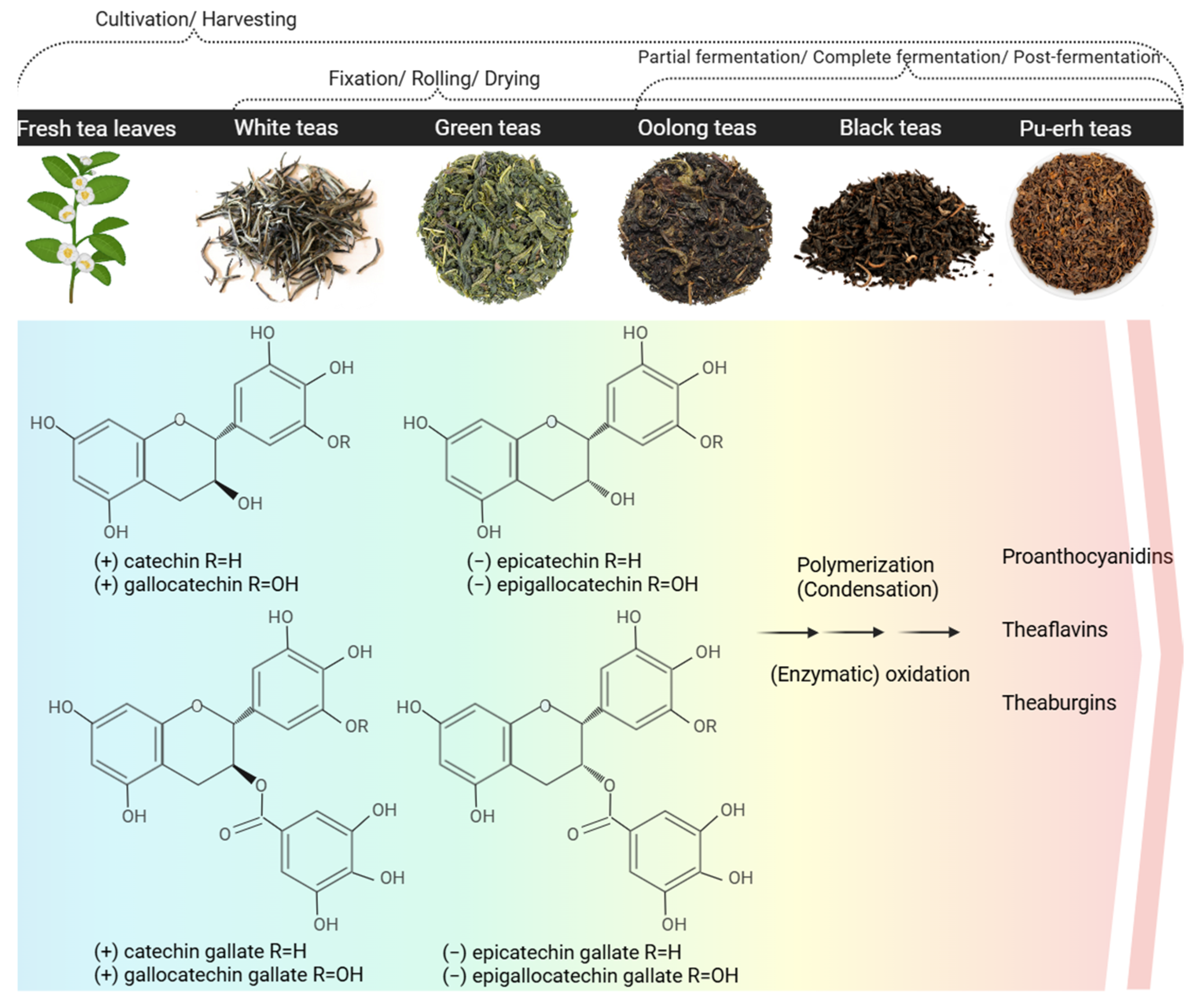 Pharmaceutics 17 00985 g001 Pharmaceutics 17 00985 g001