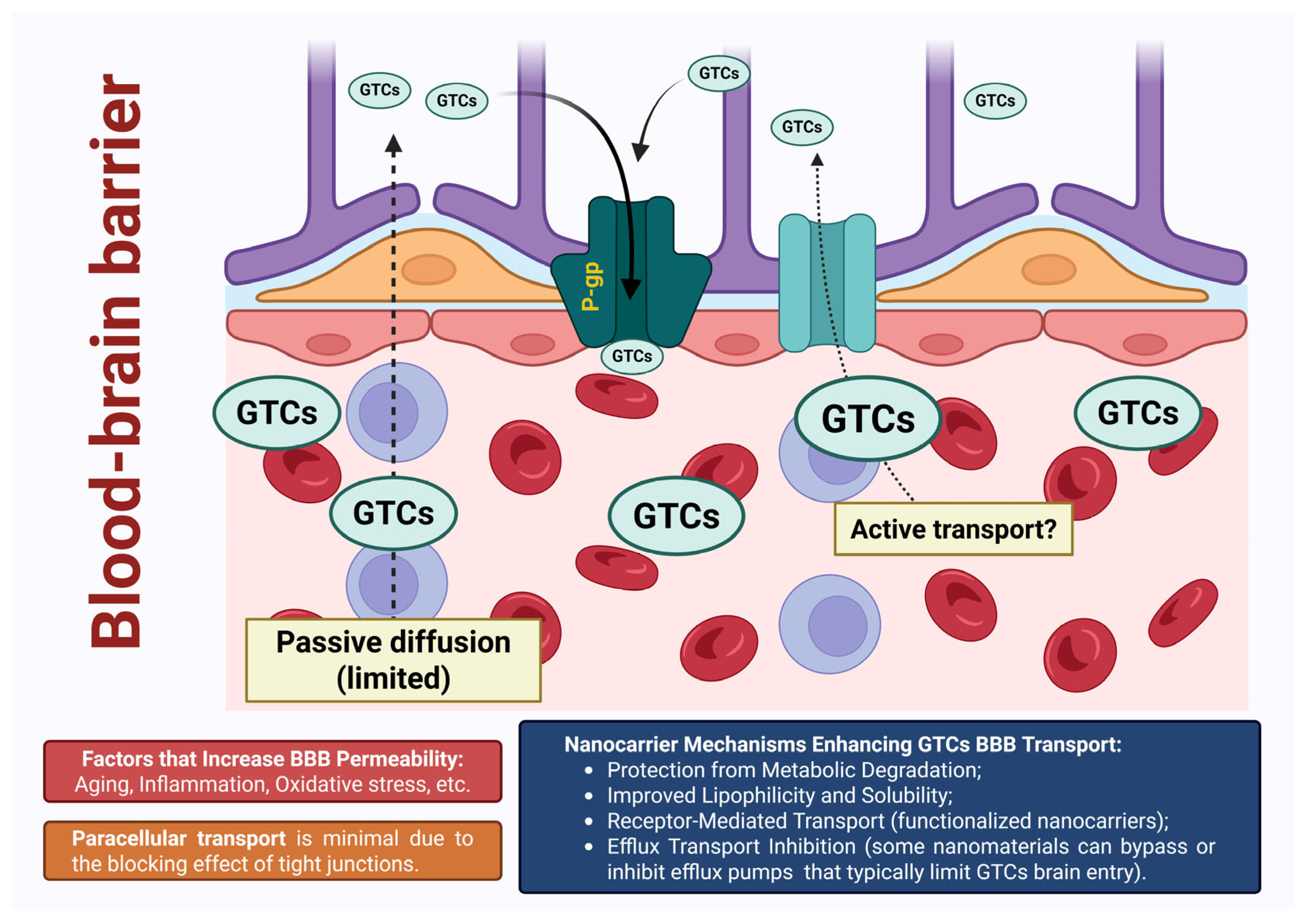 Pharmaceutics 17 00985 g002 Pharmaceutics 17 00985 g002