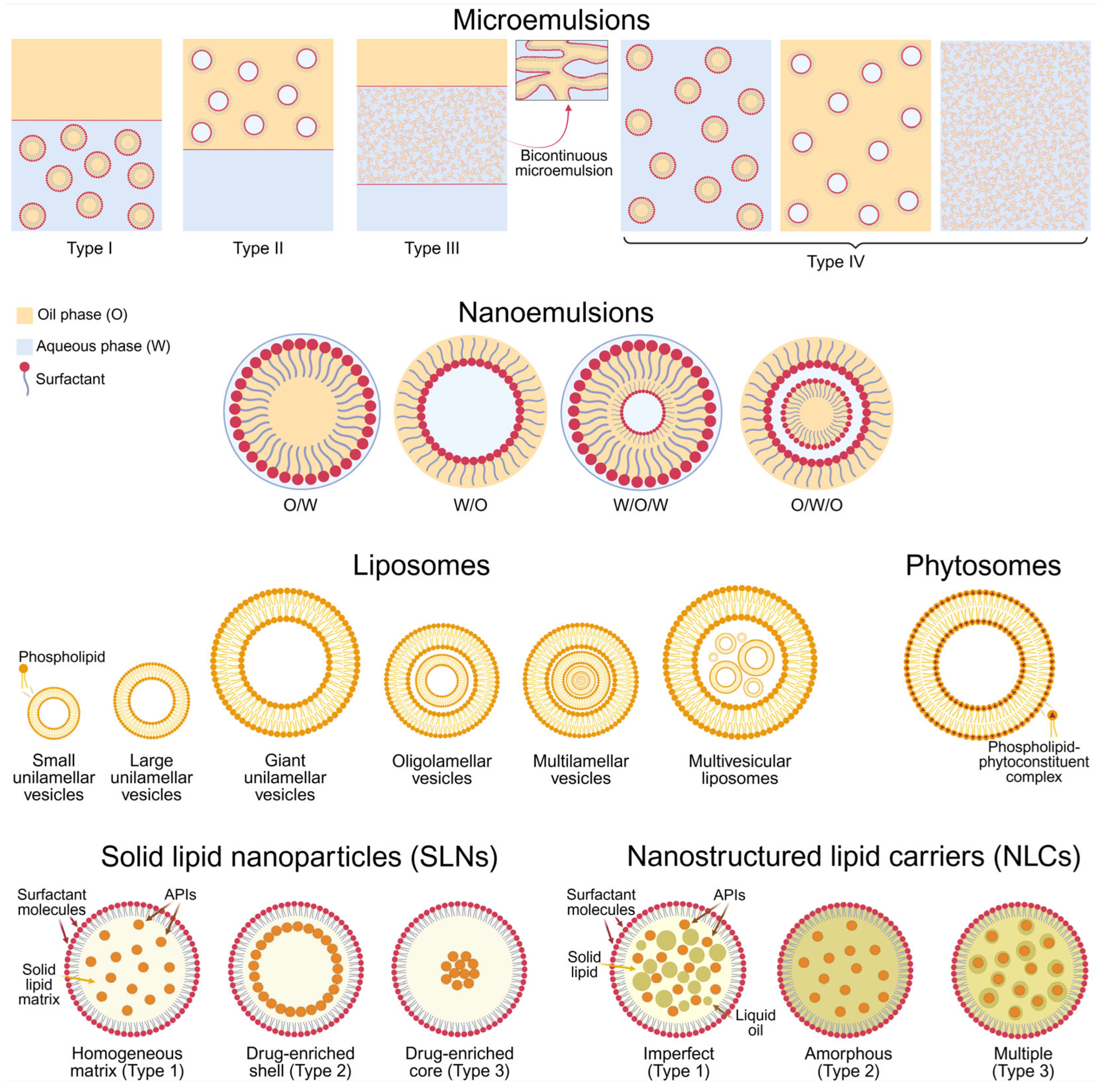 Pharmaceutics 17 00985 g003 Pharmaceutics 17 00985 g003