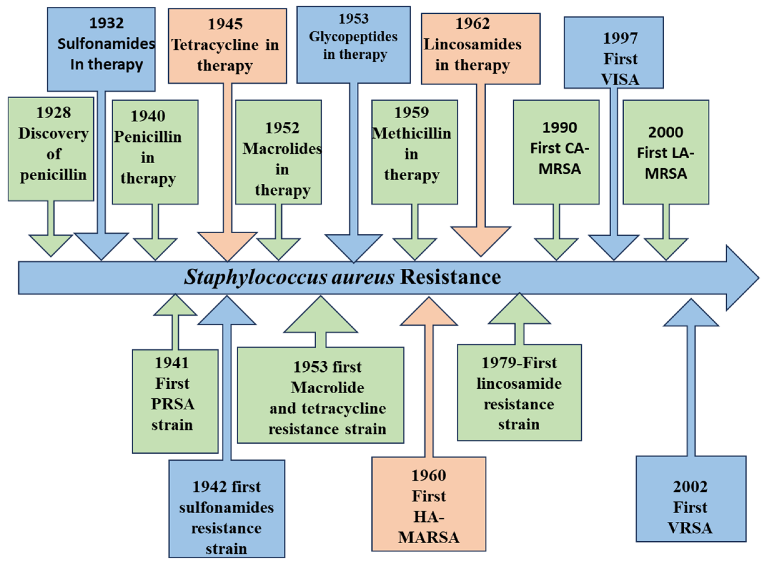 Pharmaceutics 17 00989 g001