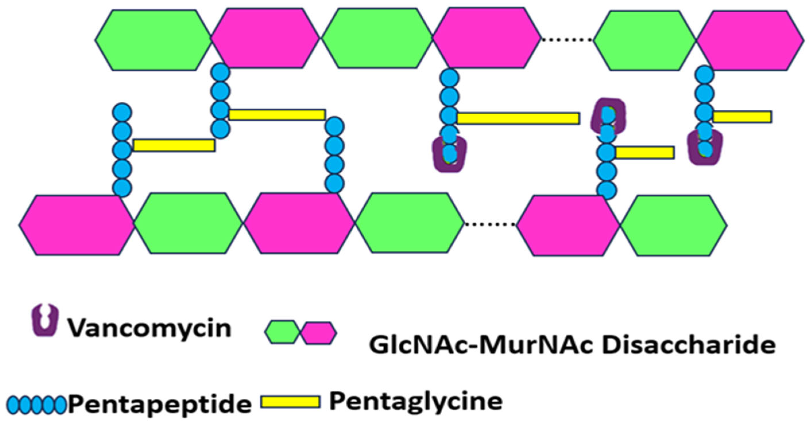 Pharmaceutics 17 00989 g004