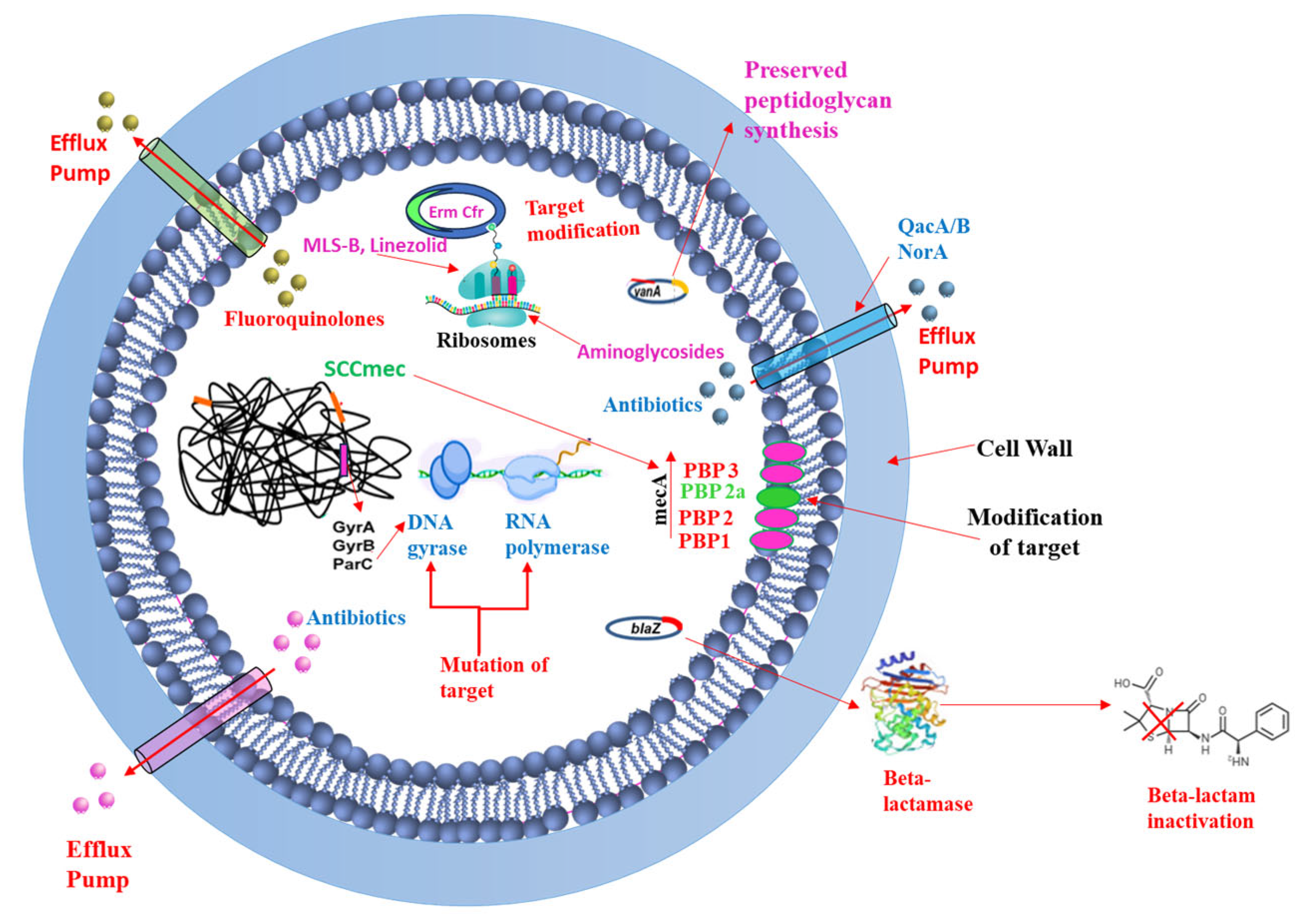 Pharmaceutics 17 00989 g006