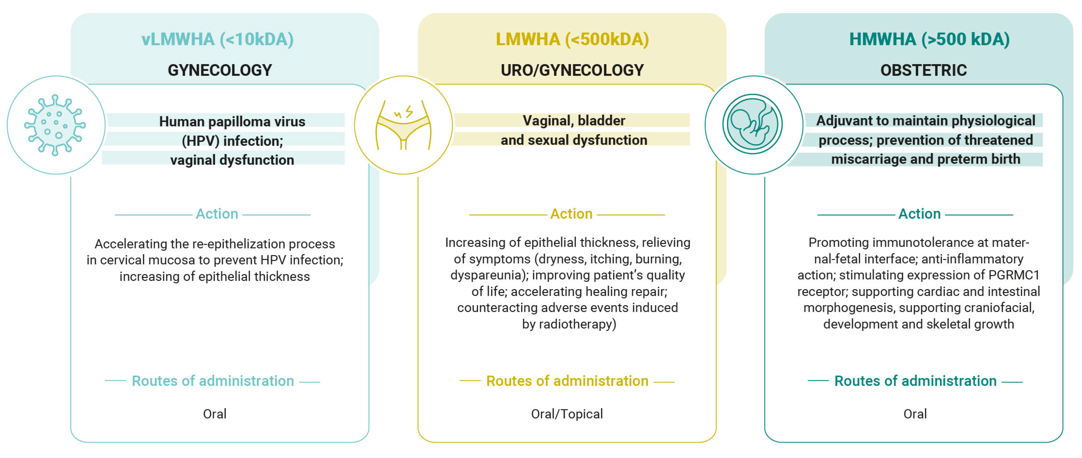 Pharmaceutics 17 00991 g002