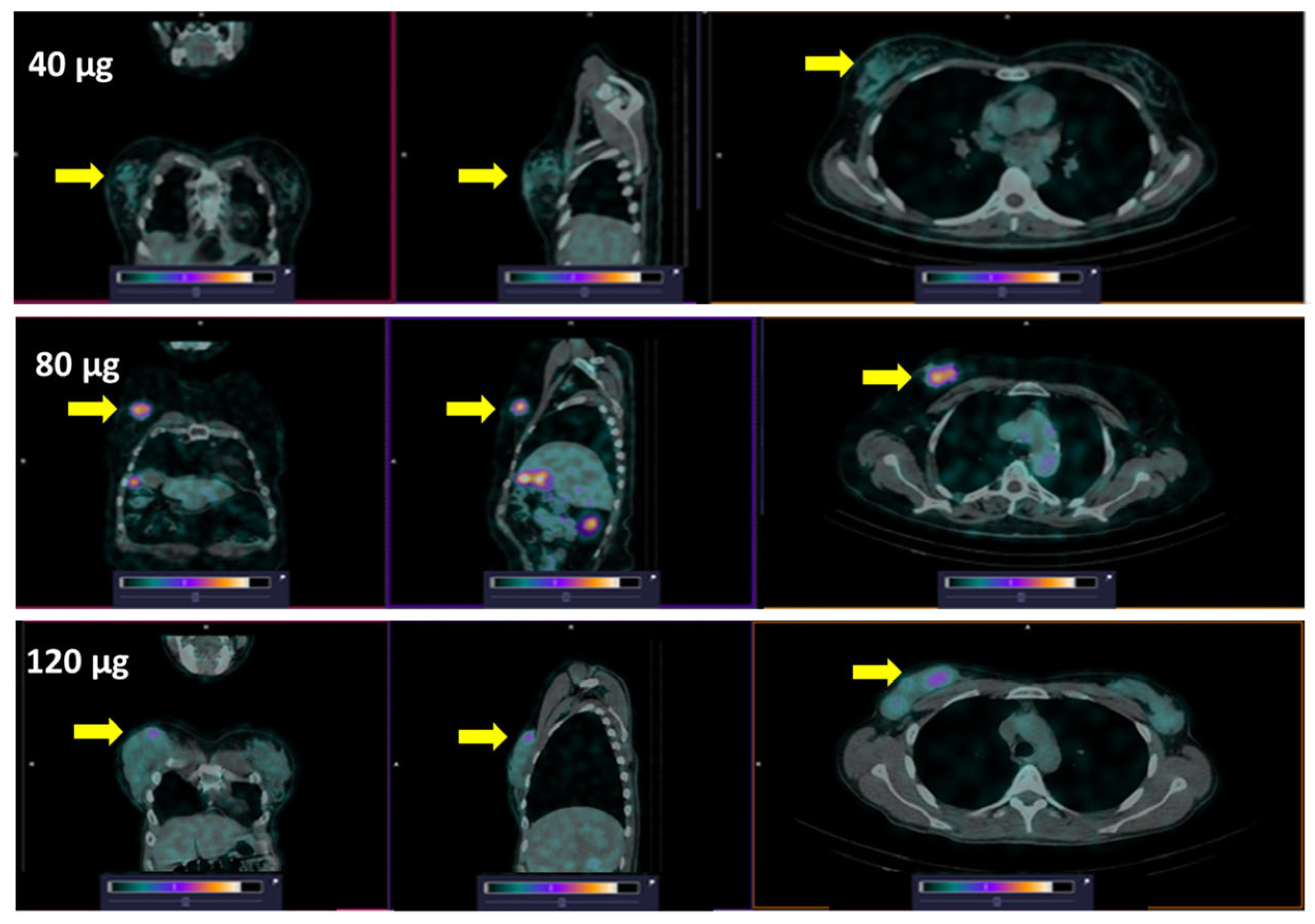 Pharmaceutics 17 01000 g006