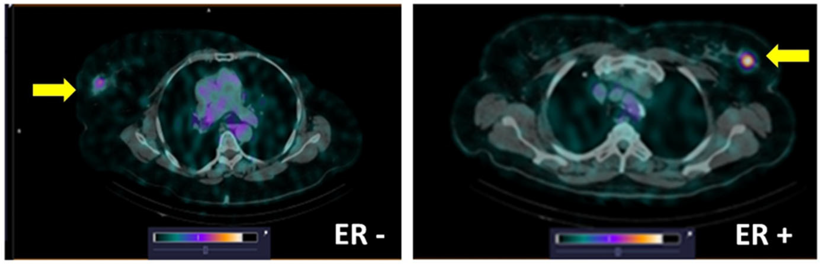 Pharmaceutics 17 01000 g011