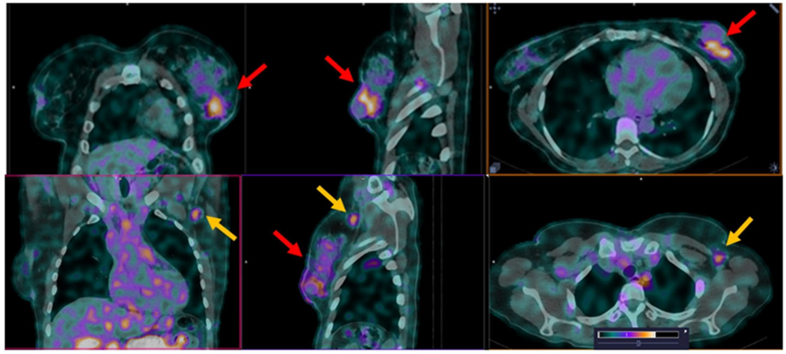 Pharmaceutics 17 01000 g012