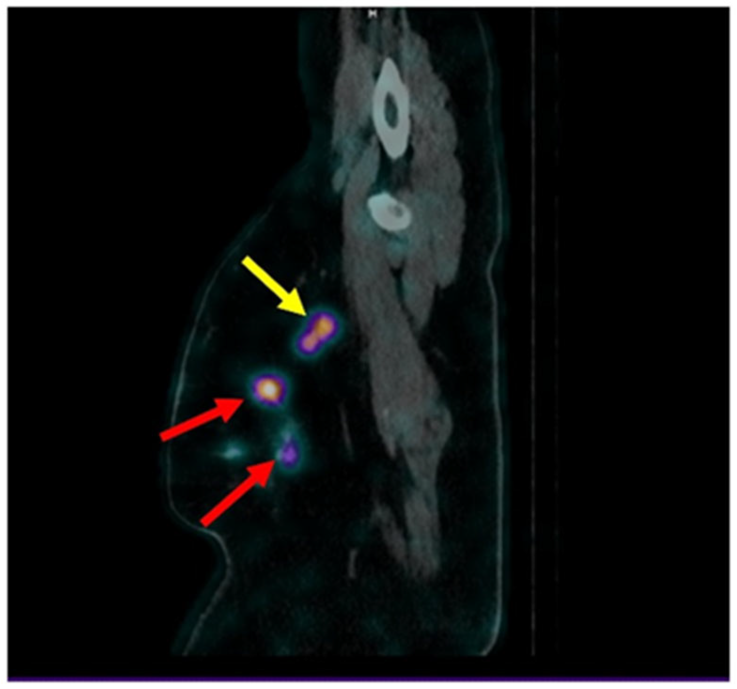 Pharmaceutics 17 01000 g013