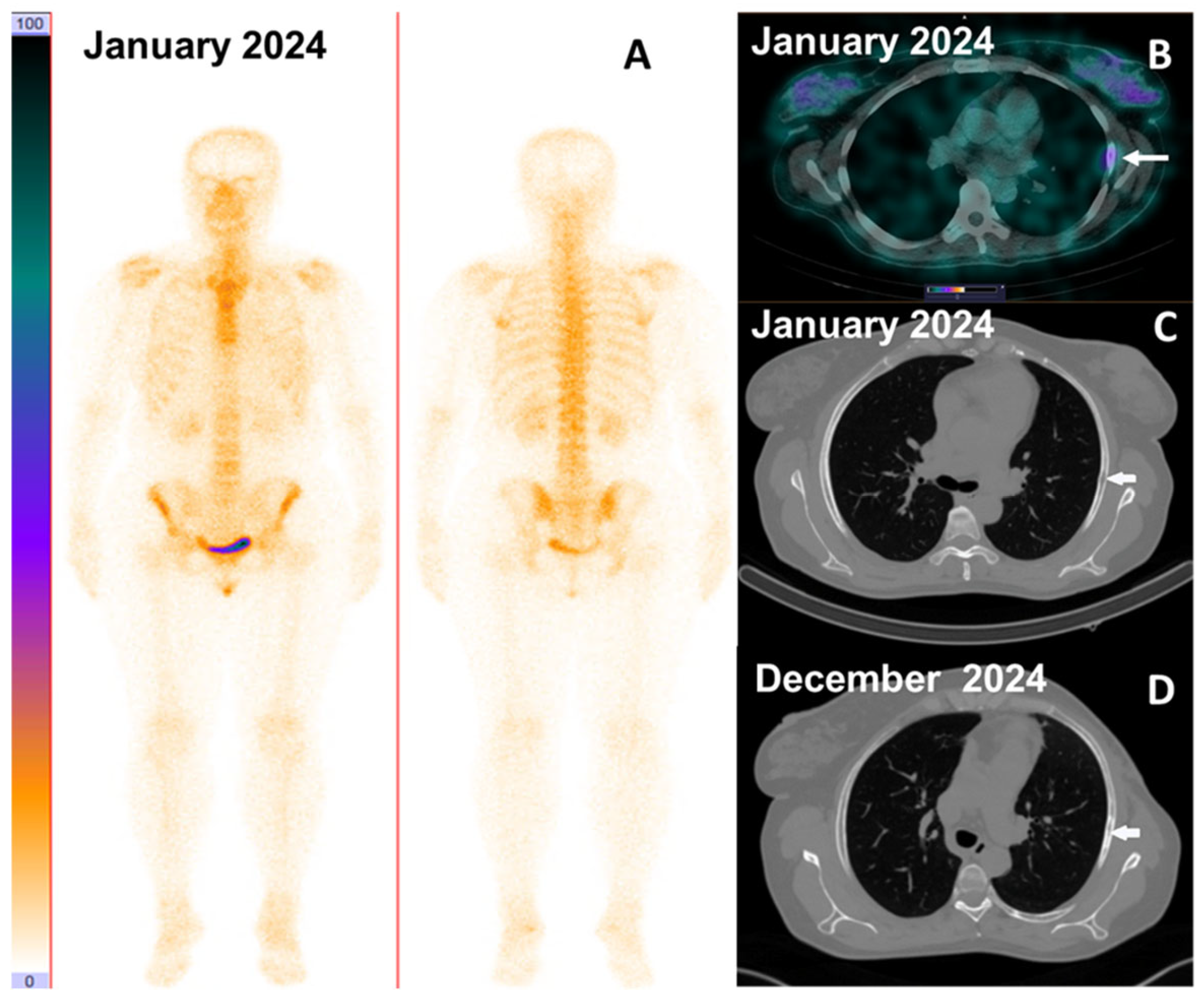 Pharmaceutics 17 01000 g014