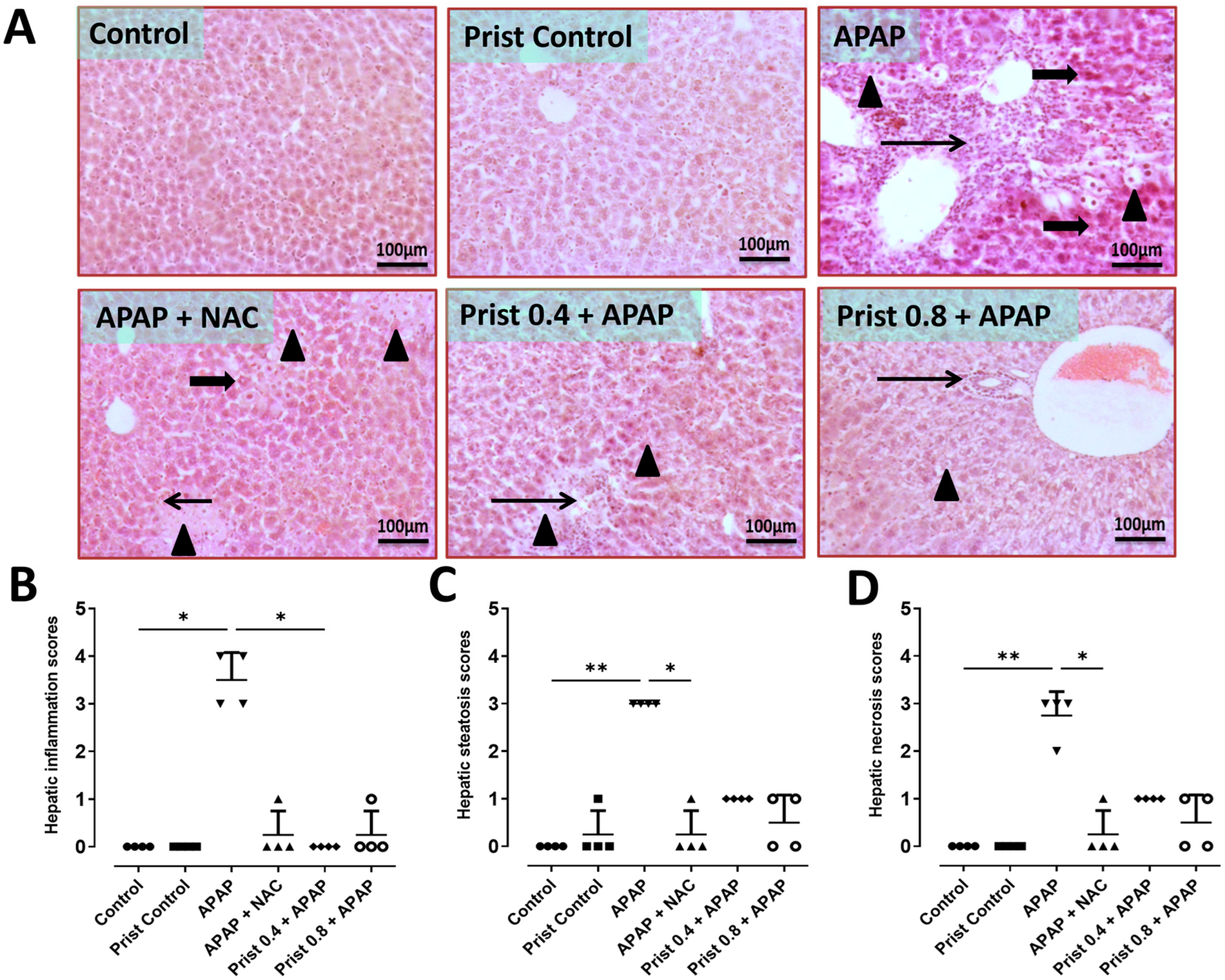 Pharmaceutics 17 01003 g001 Pharmaceutics 17 01003 g001