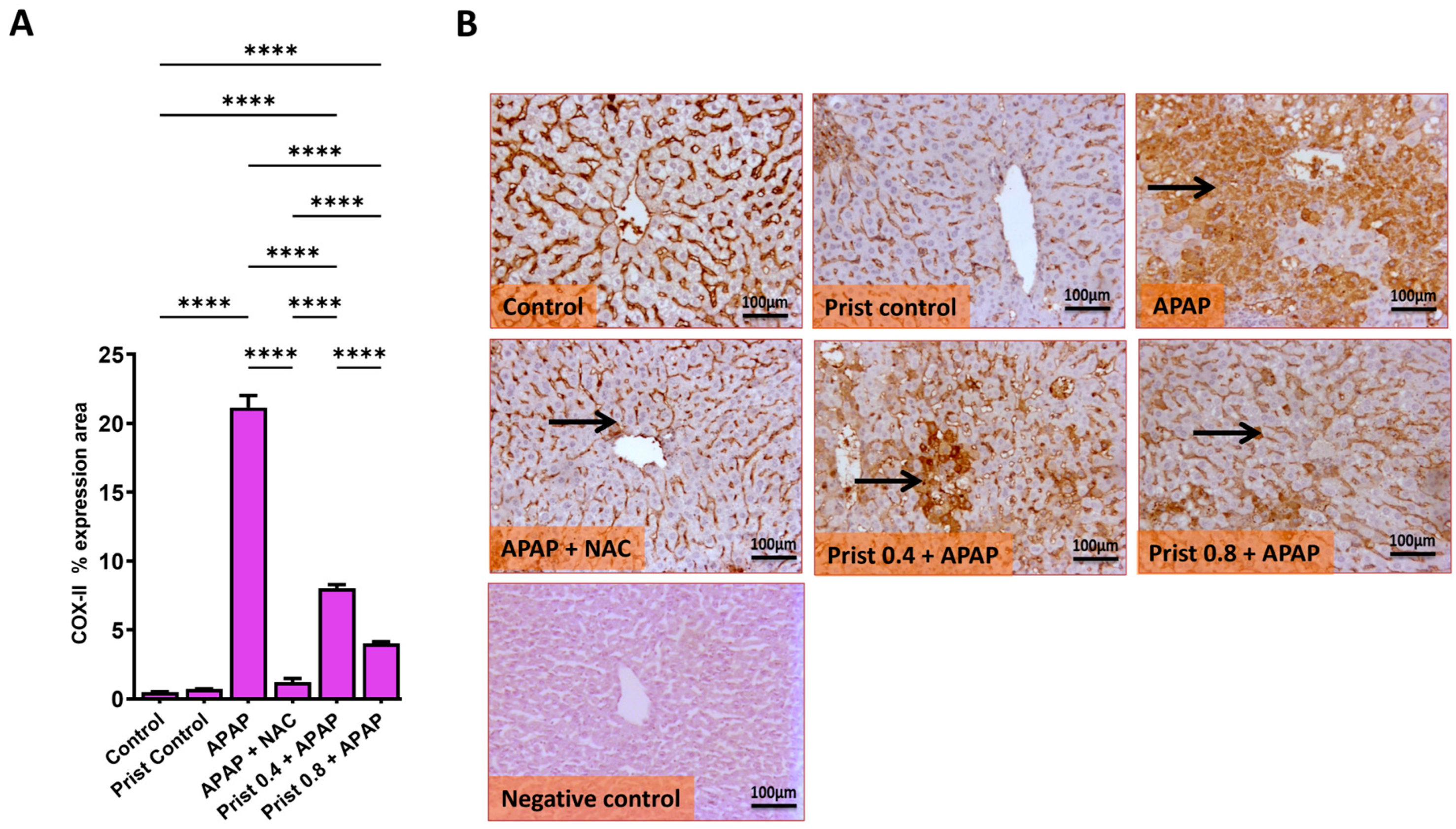 Pharmaceutics 17 01003 g006 Pharmaceutics 17 01003 g006