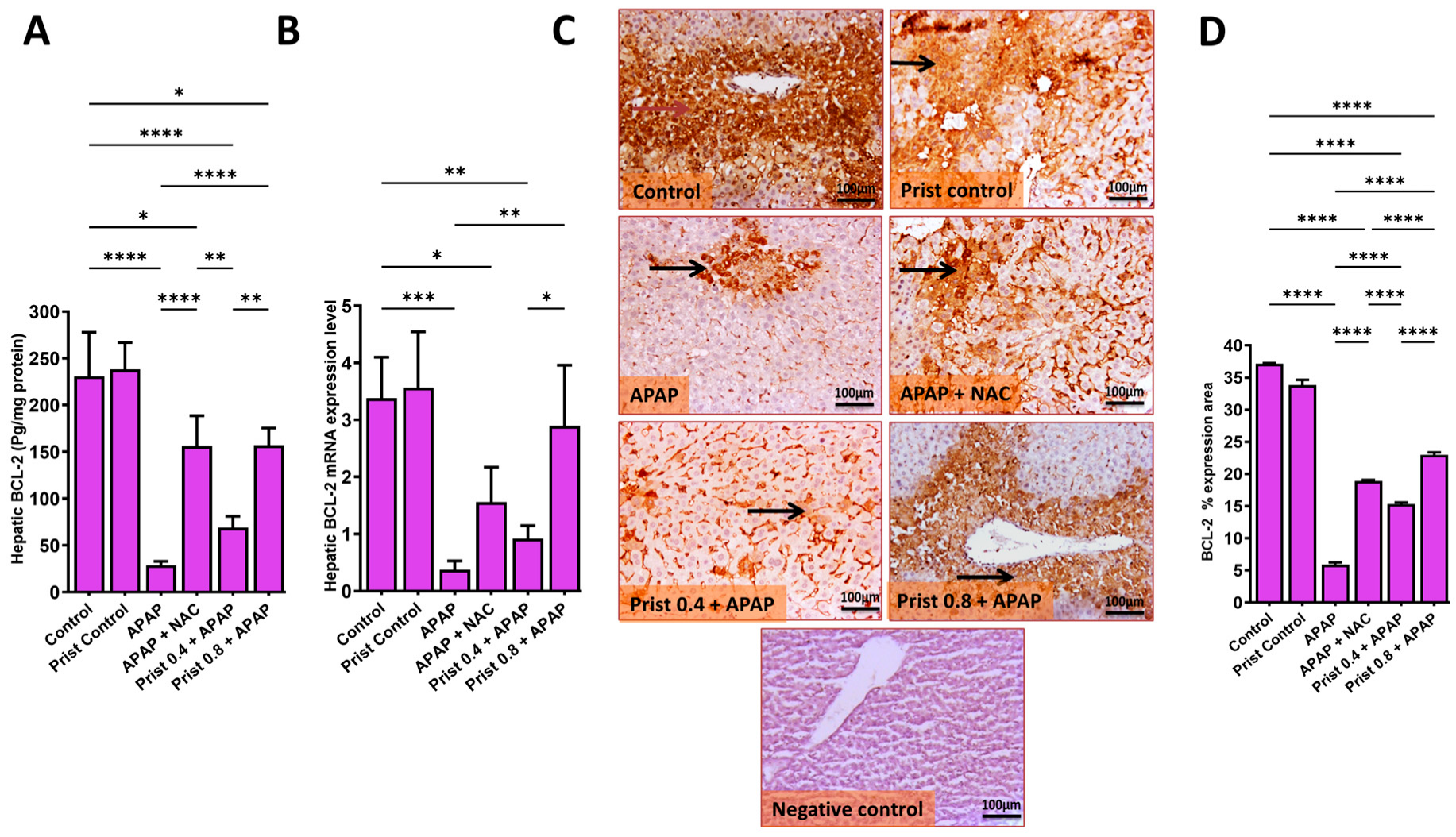 Pharmaceutics 17 01003 g011 Pharmaceutics 17 01003 g011