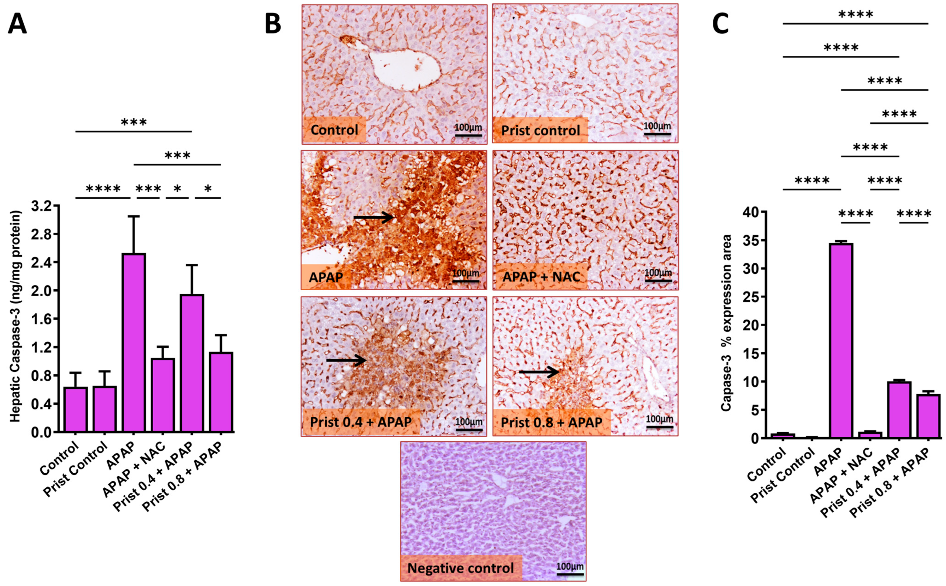 Pharmaceutics 17 01003 g013 Pharmaceutics 17 01003 g013